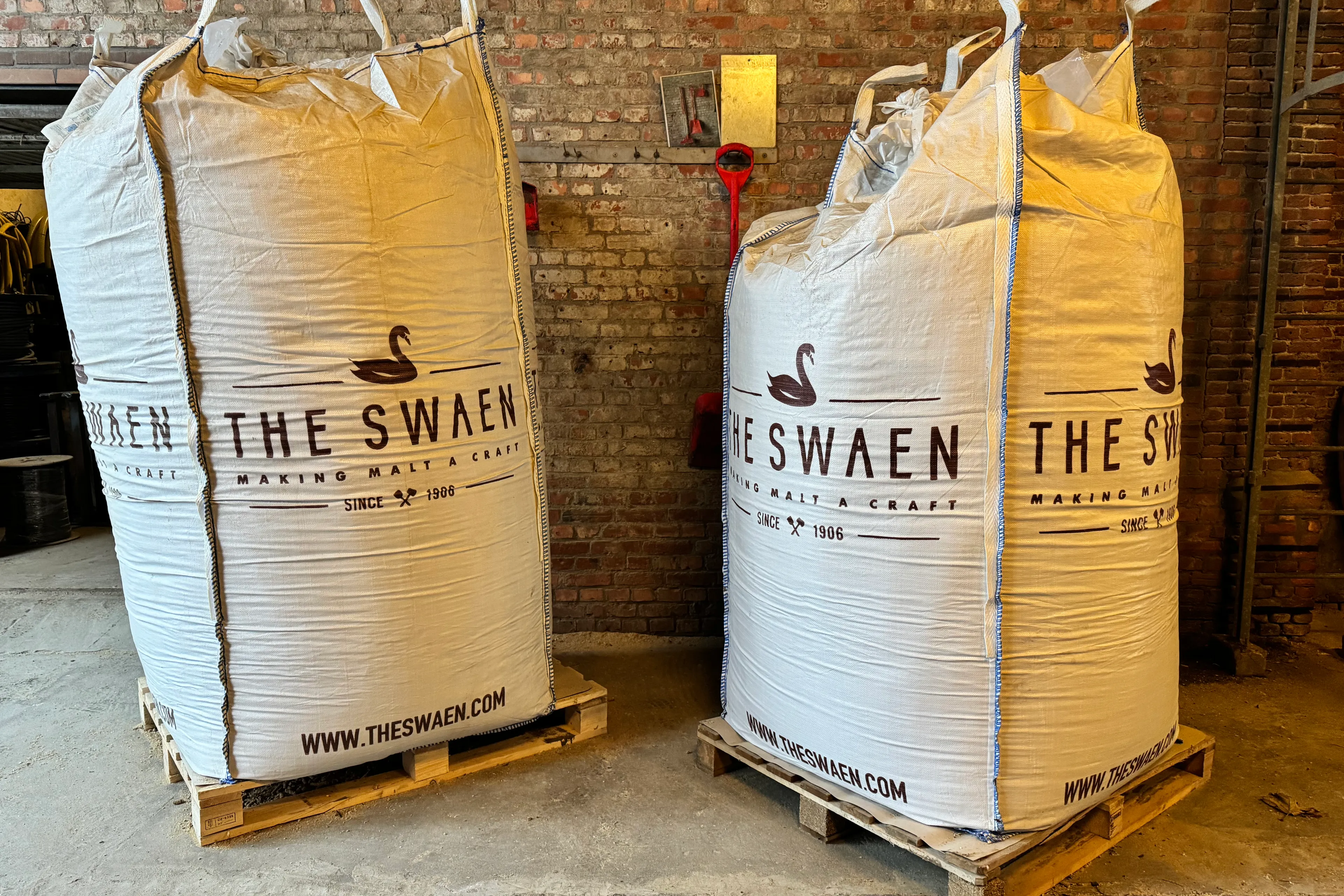 the swaen