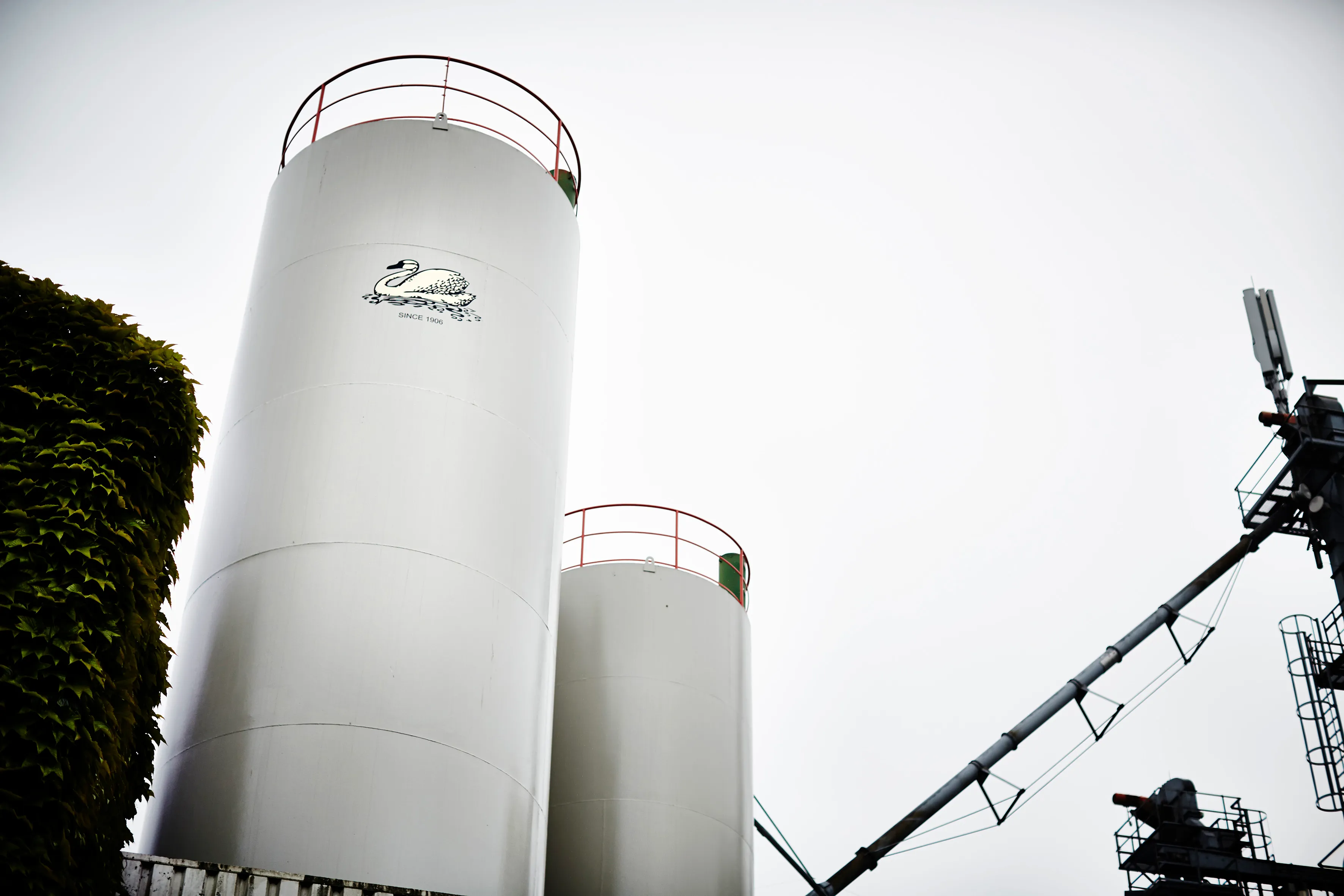 Whisky Names Explained: The Swaen
