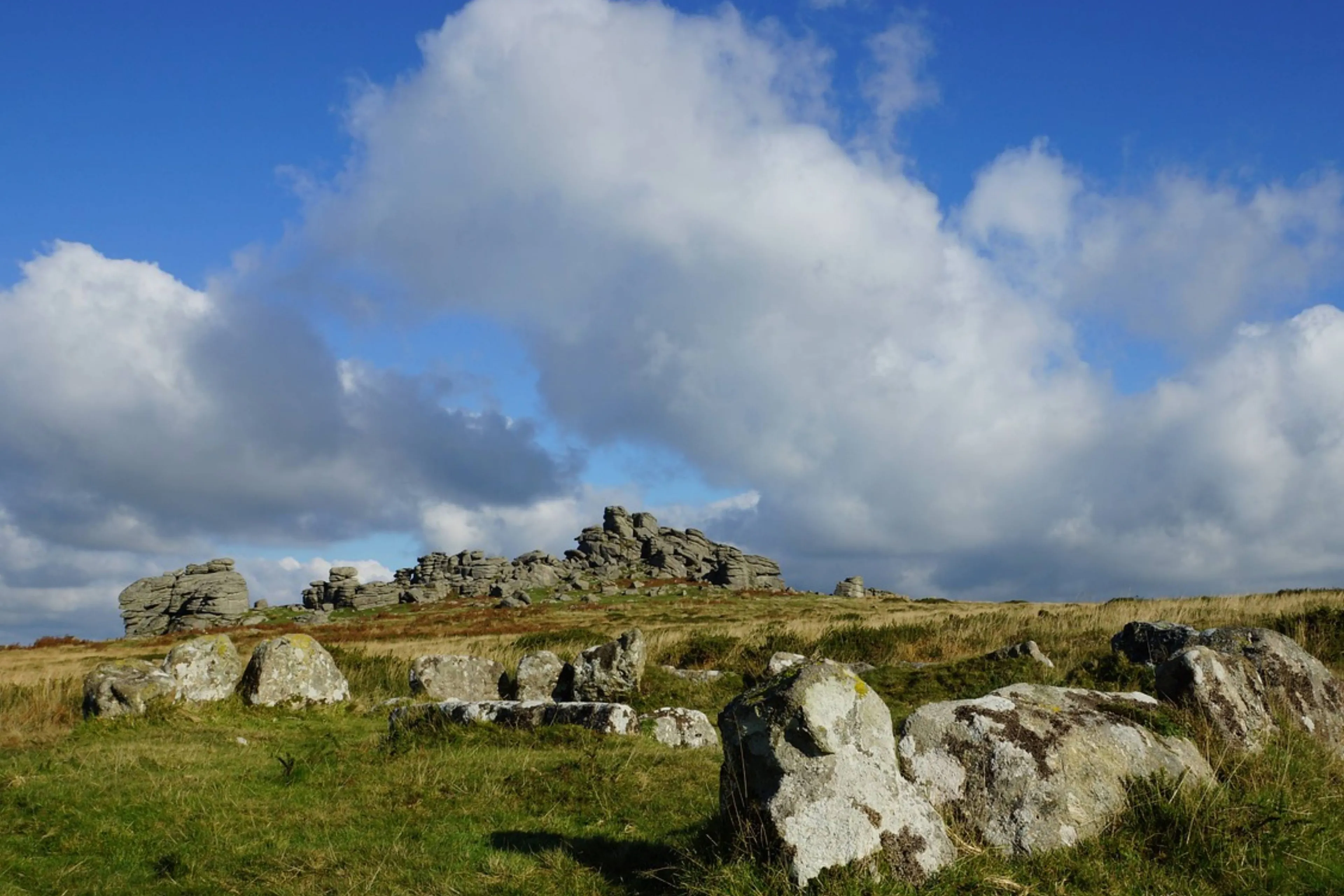 dartmoor