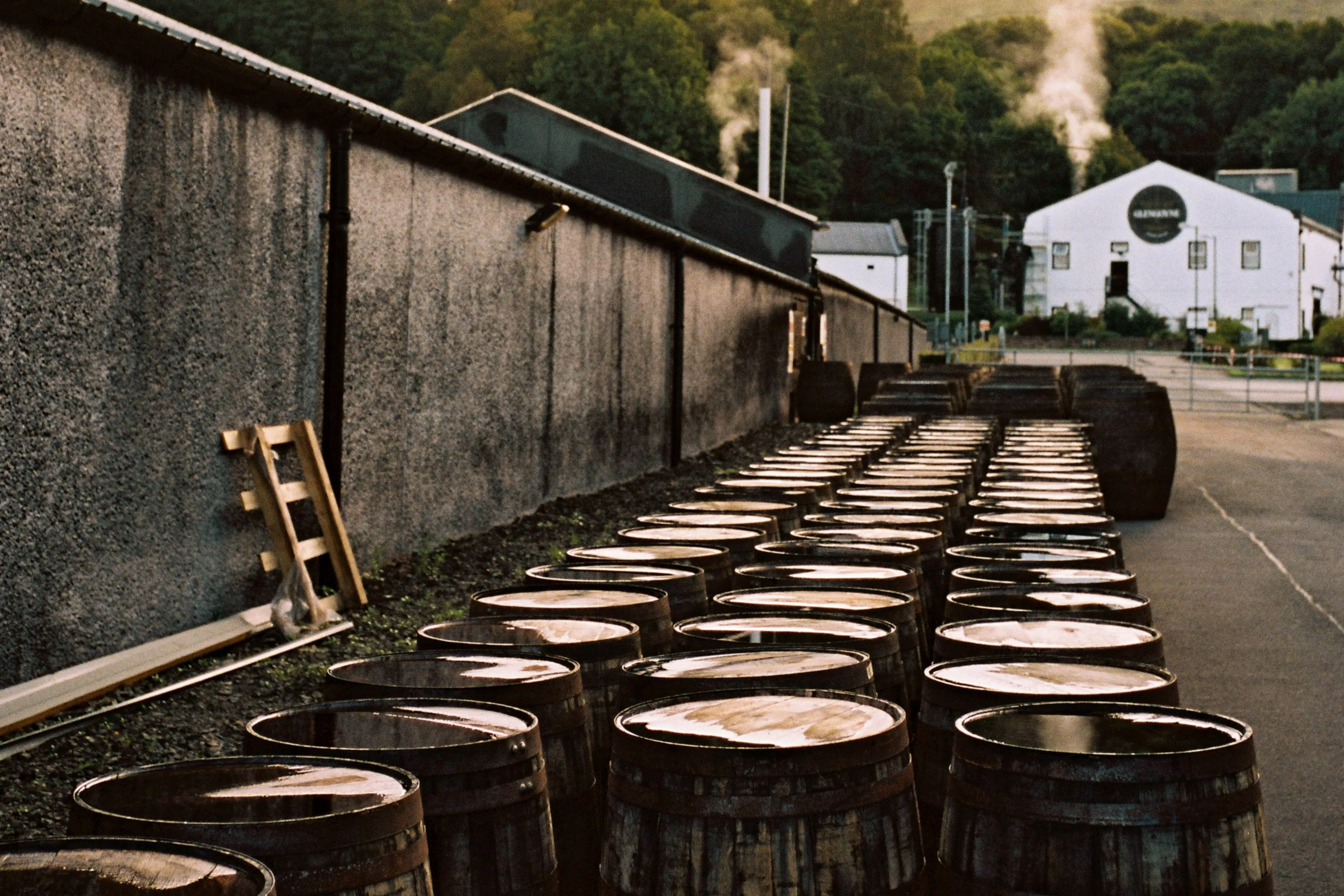Investeren in whisky #1: Is investeren in whisky slim? Tips om op te letten