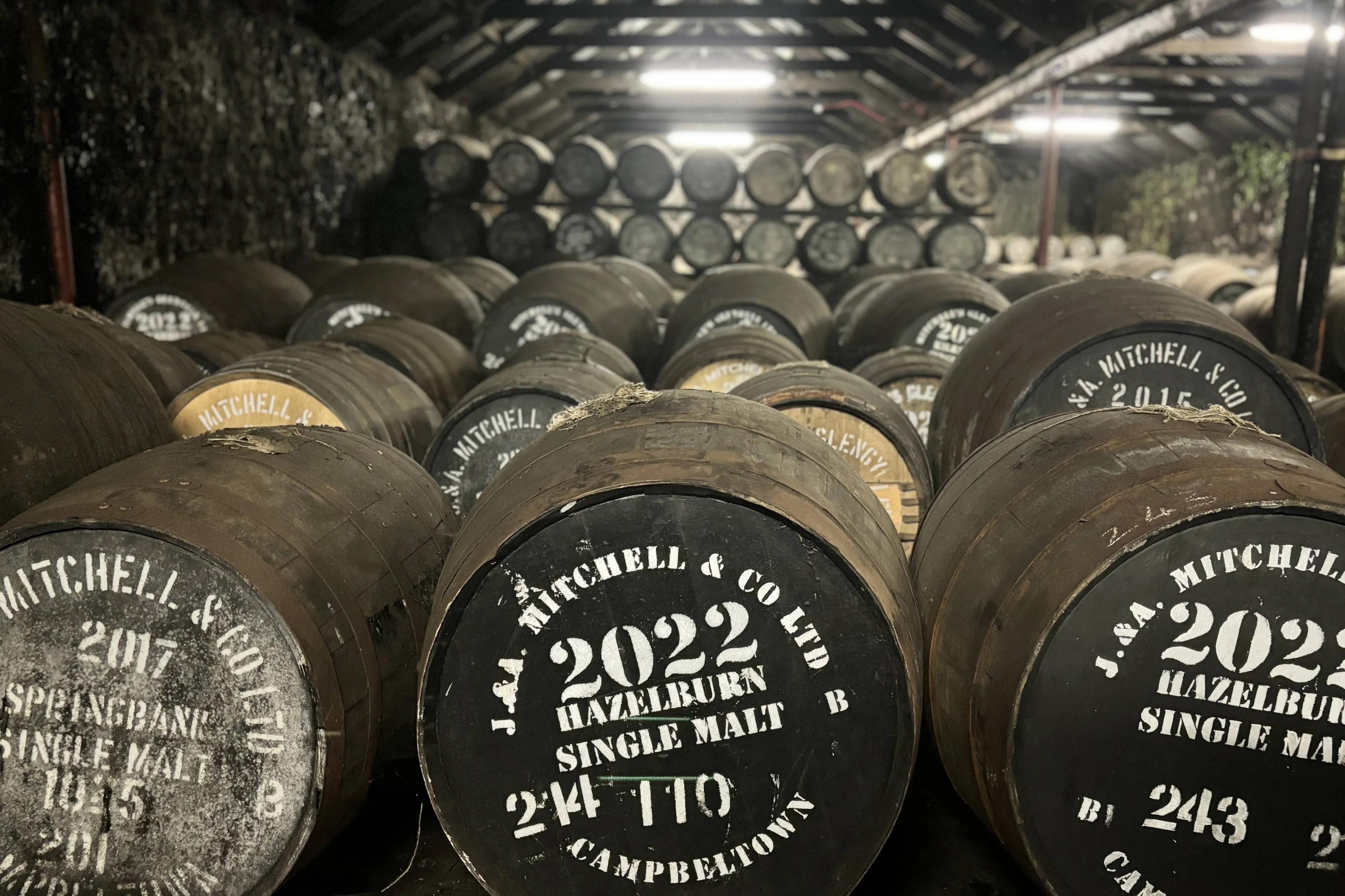 hazelburn springbank whisky warehouse