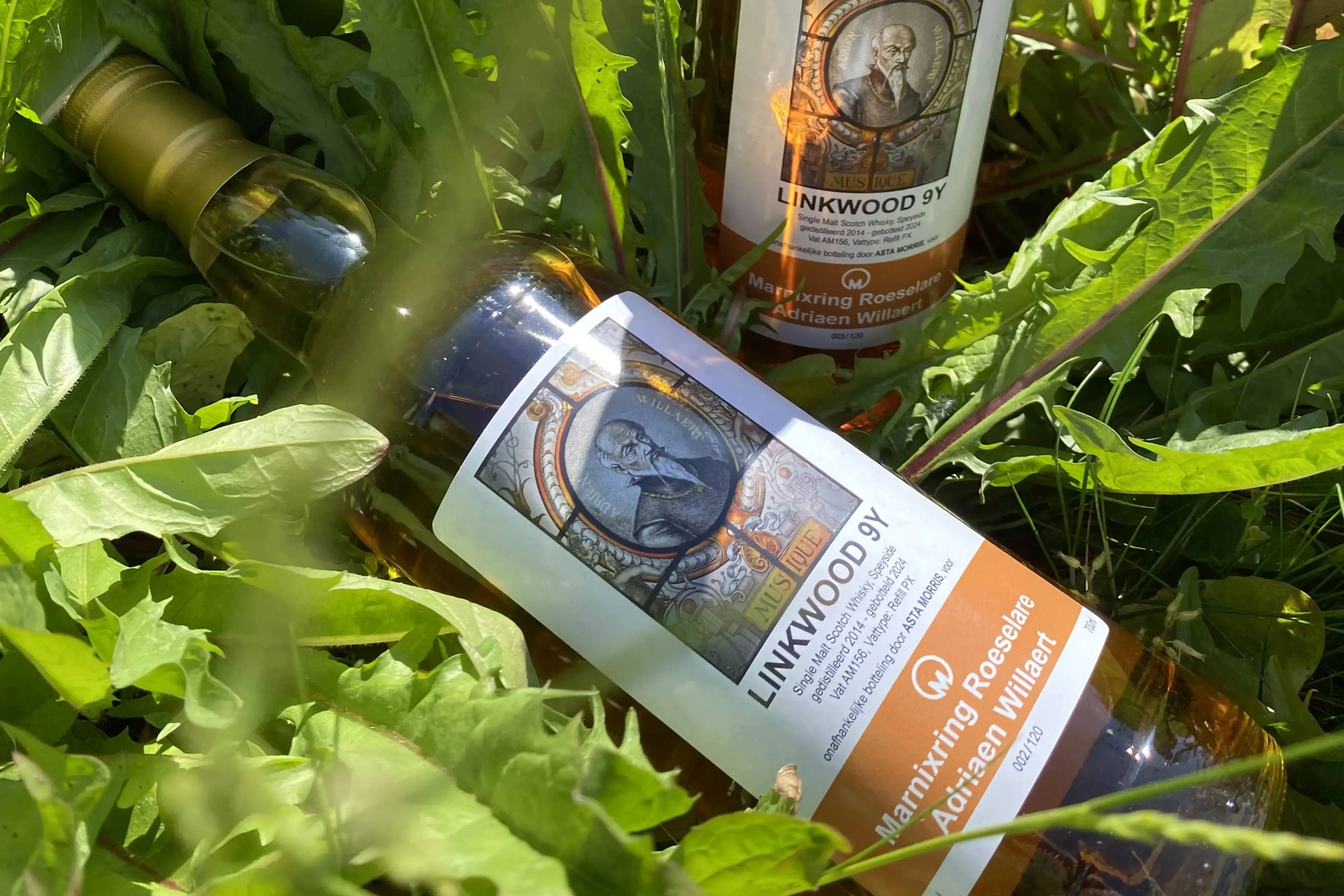 marnixring linkwood whiskyjpg
