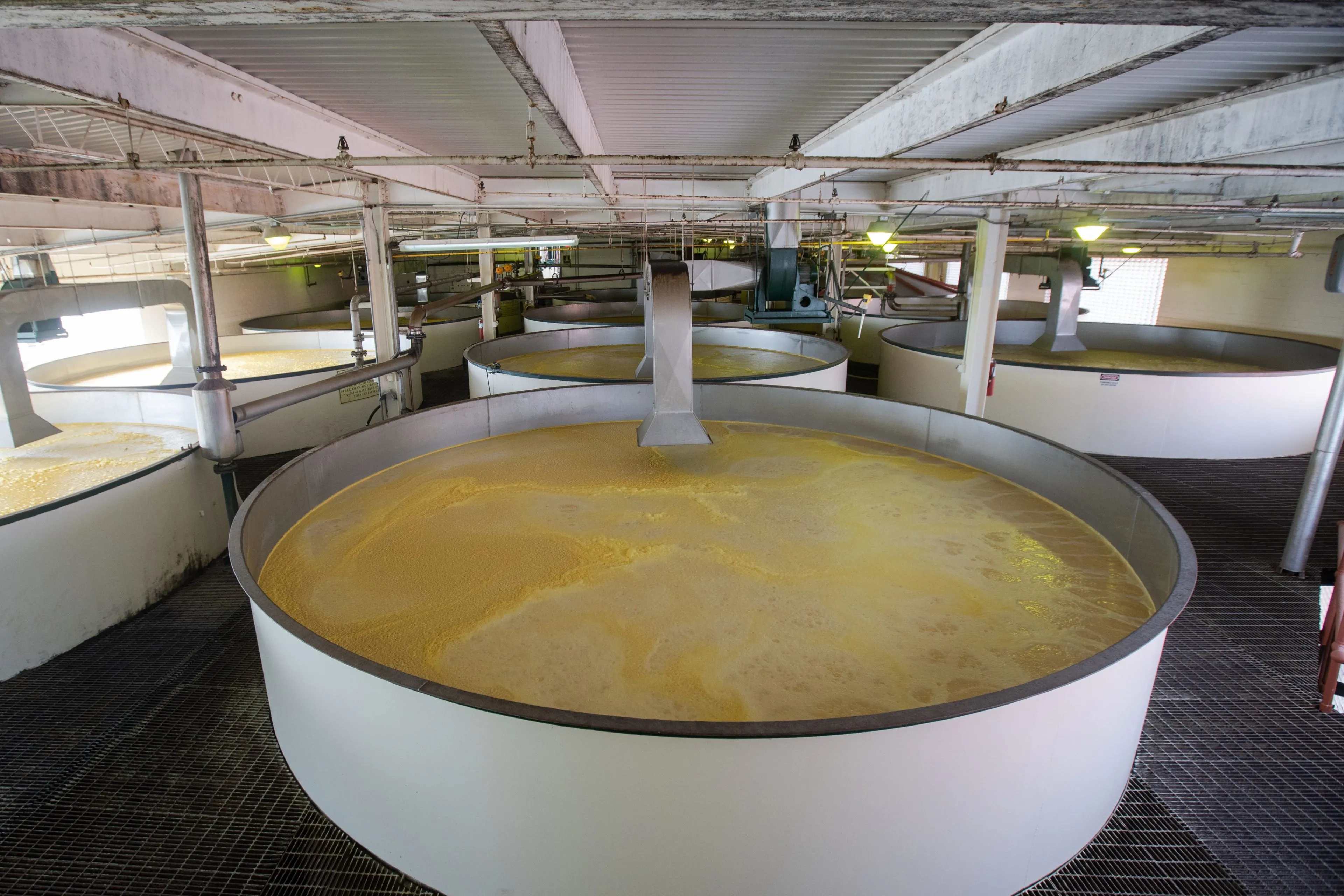 How to Whisky: How Fermentation Shapes Whisky’s Flavor