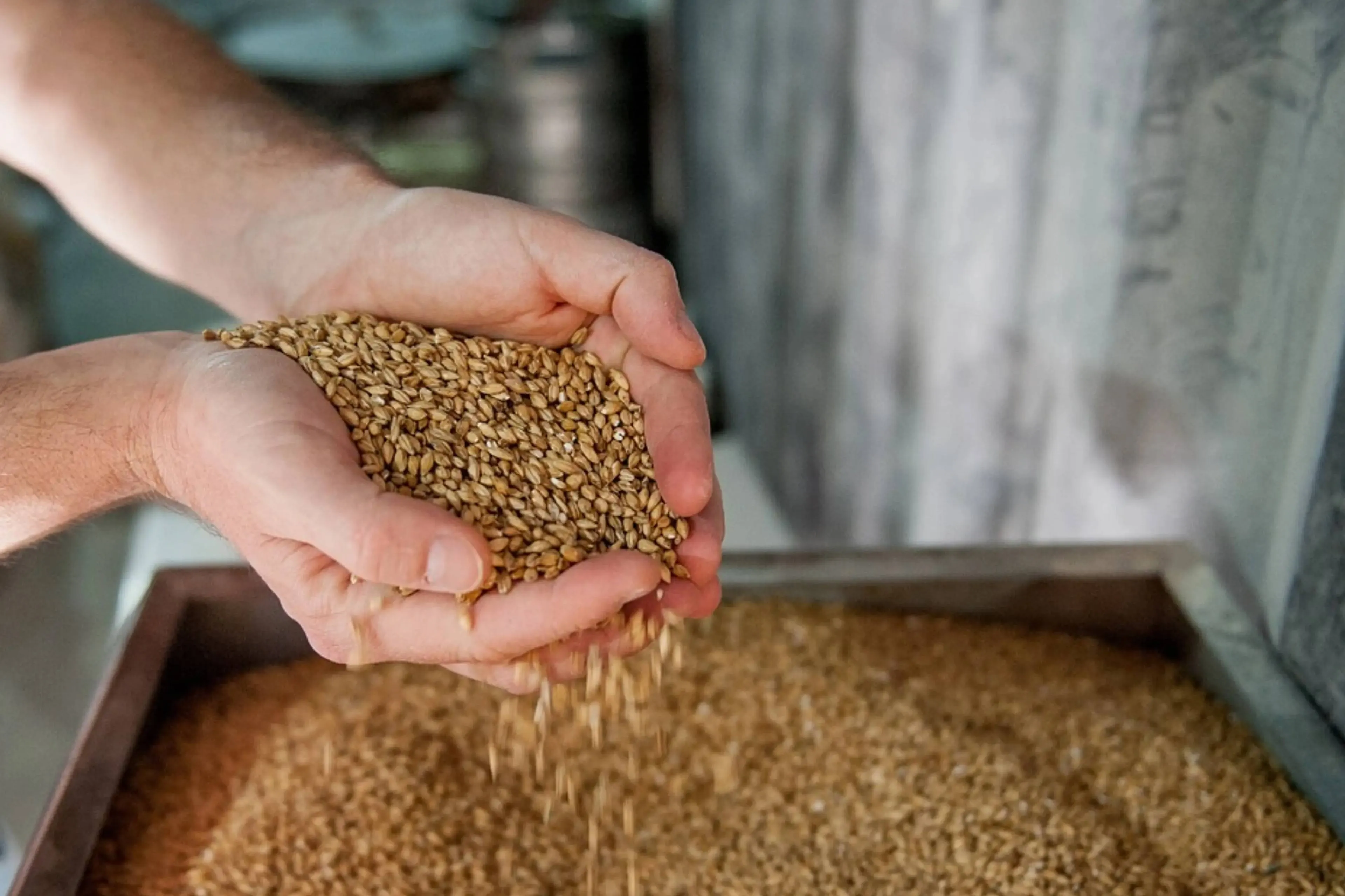 Voormalig Ardbeg-manager Colin Gordon start bij Bairds Malt Limited