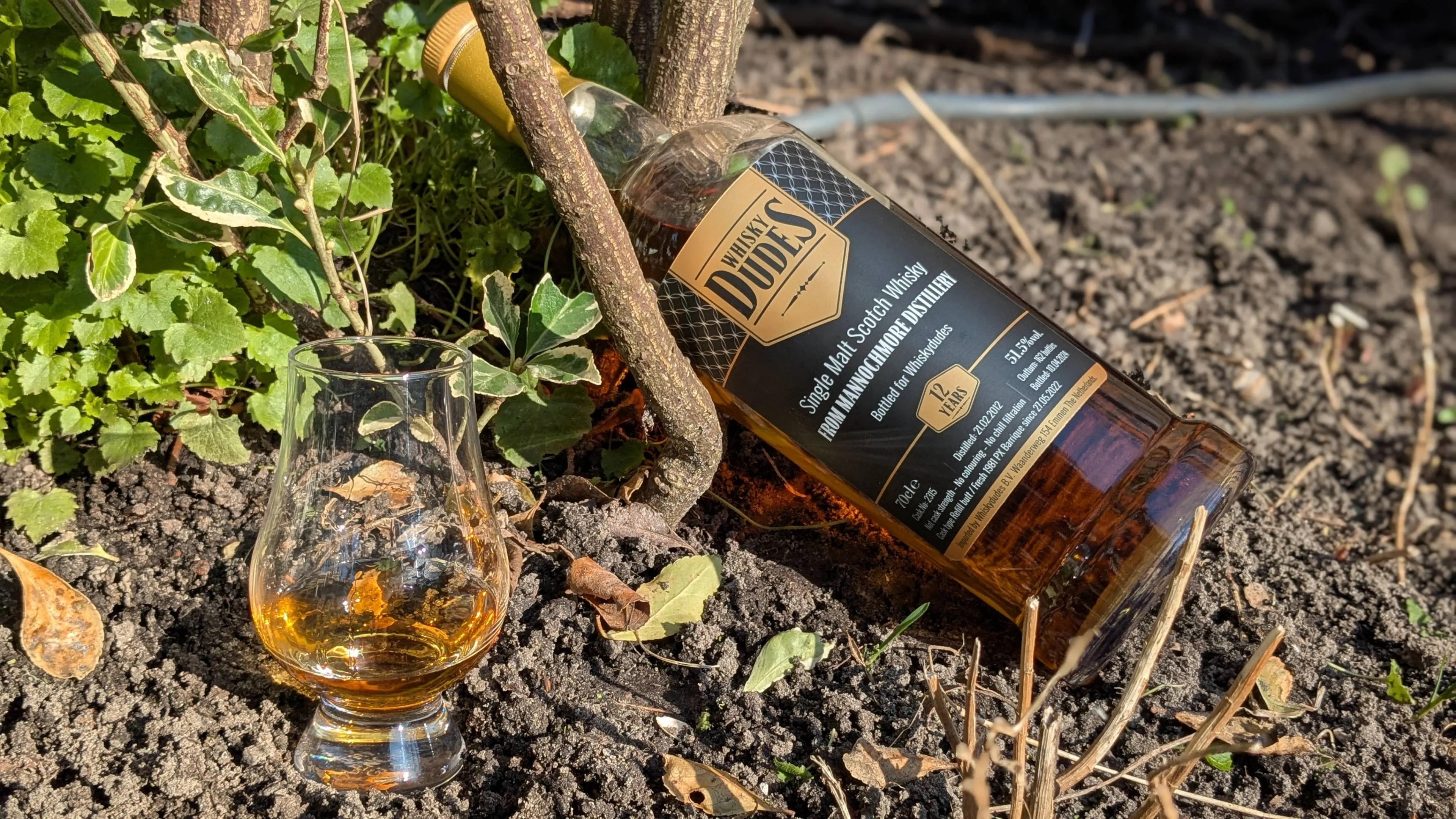 Mannochmore 12 Years Whiskydudes Review: A Taste of Brown Sugar, Plums, and Beyond