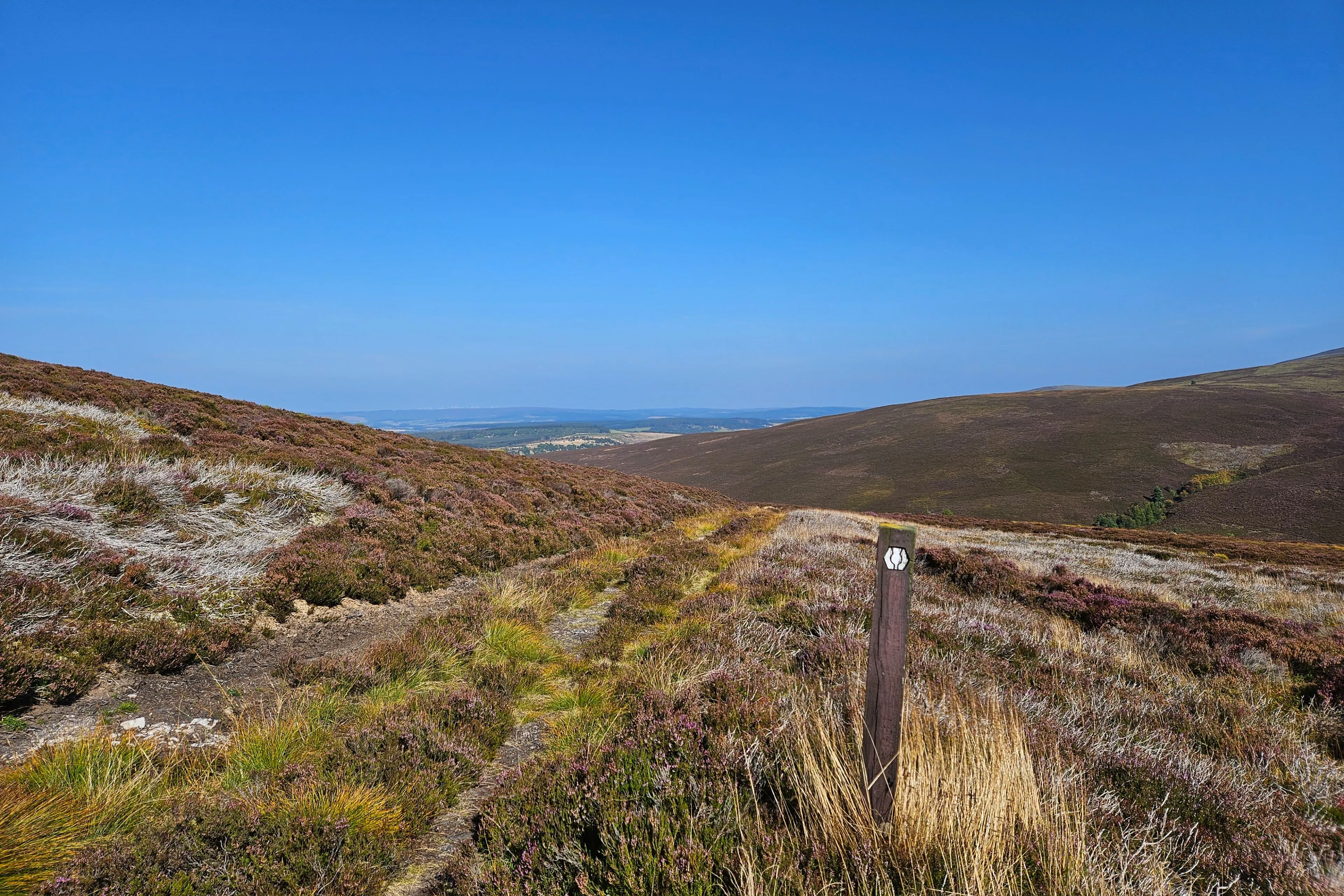 Ask Away: Which Scotch whisky region is your secret favorite?