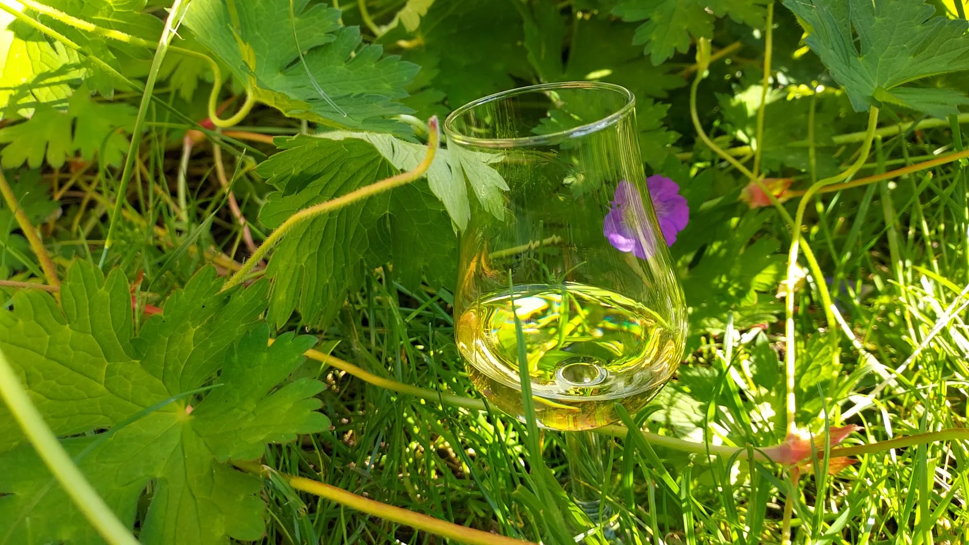 Douglas Laing Glen Spey Whisky Review: 'Interesting Interplay of Flavors'