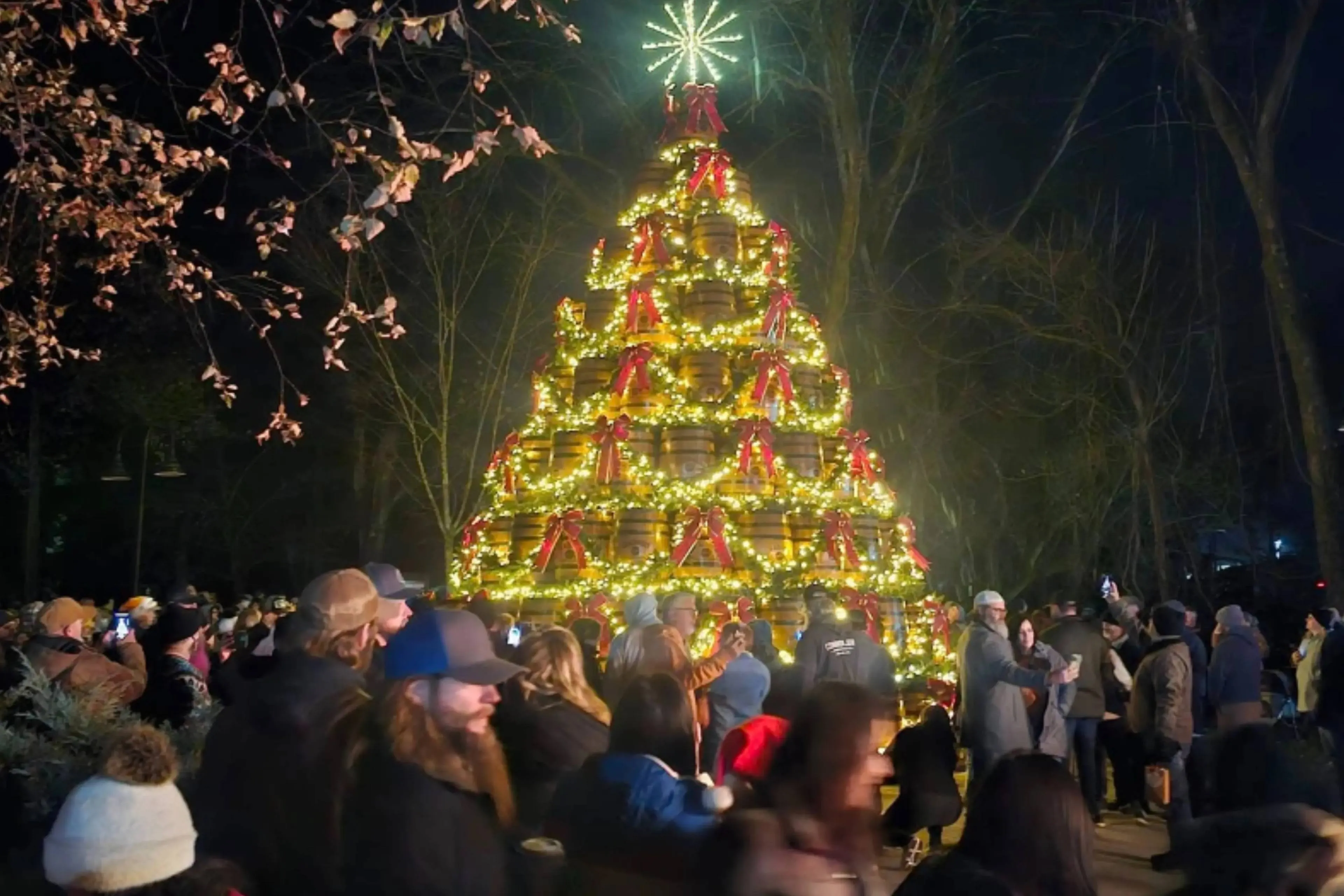 Jack Daniels Barrel Trees
