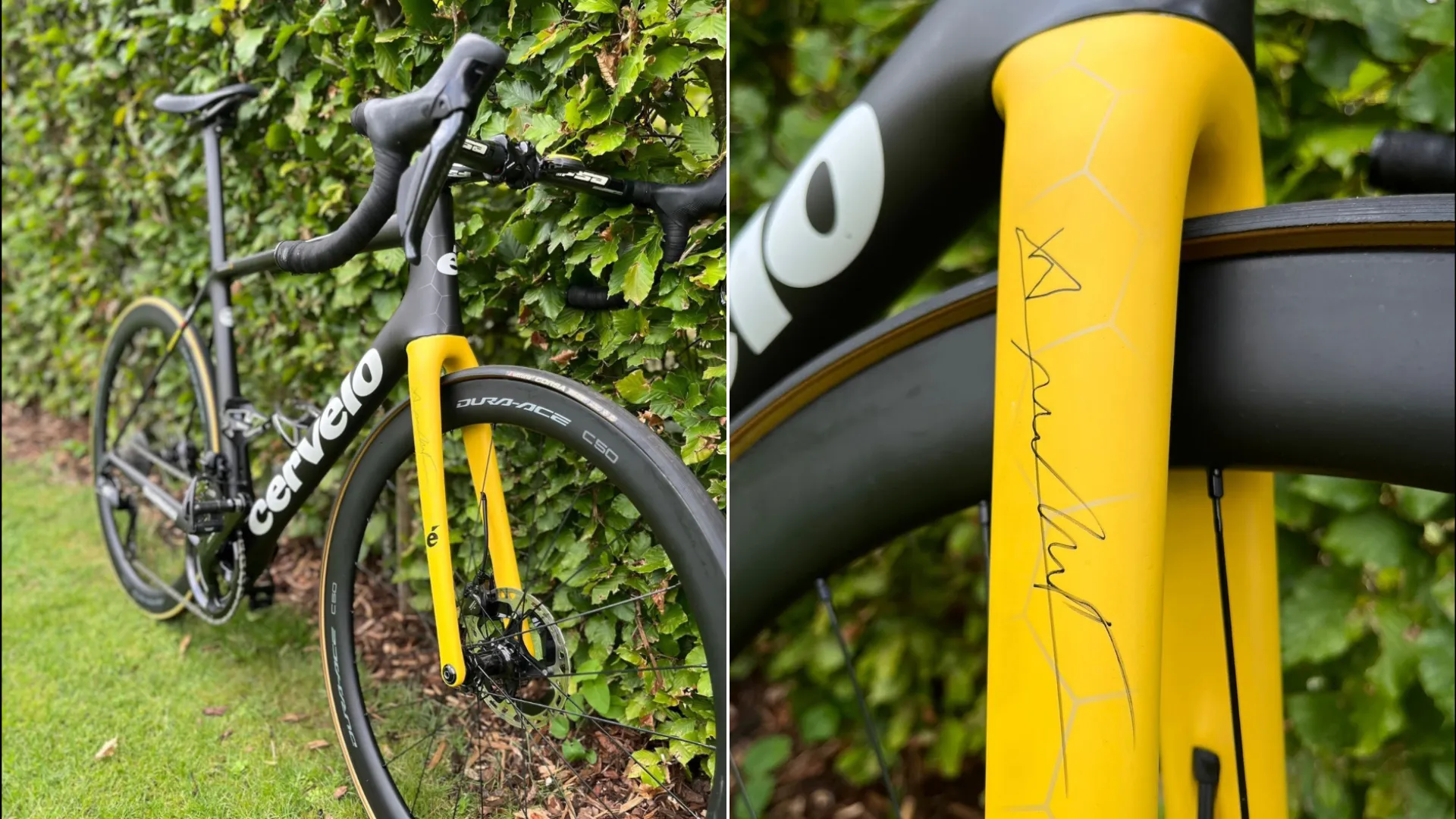 Wow! Tourfiets van Wout van Aert is geveild voor krankzinnig bedrag