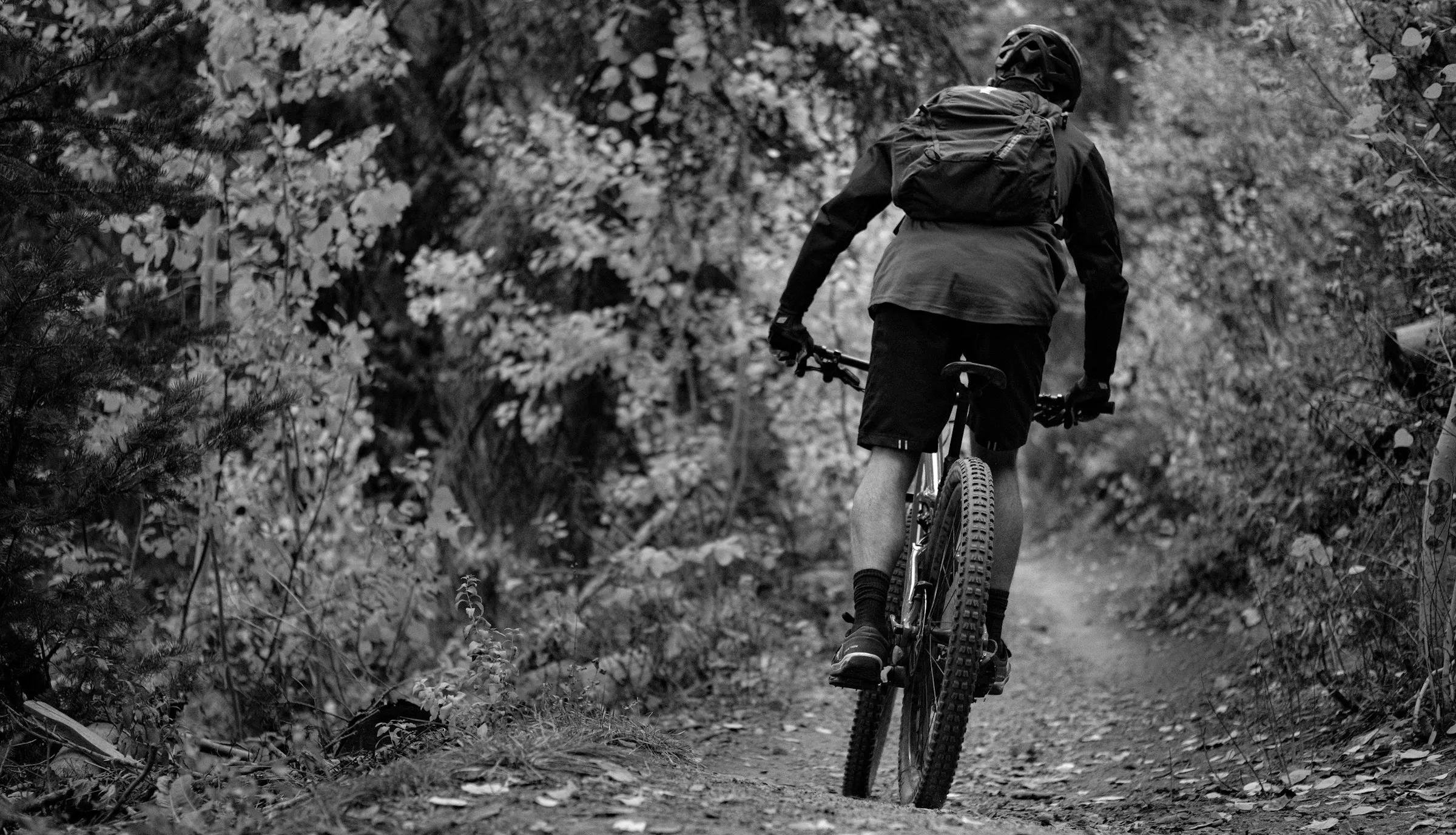 mountainbikeroverledenprofondeville