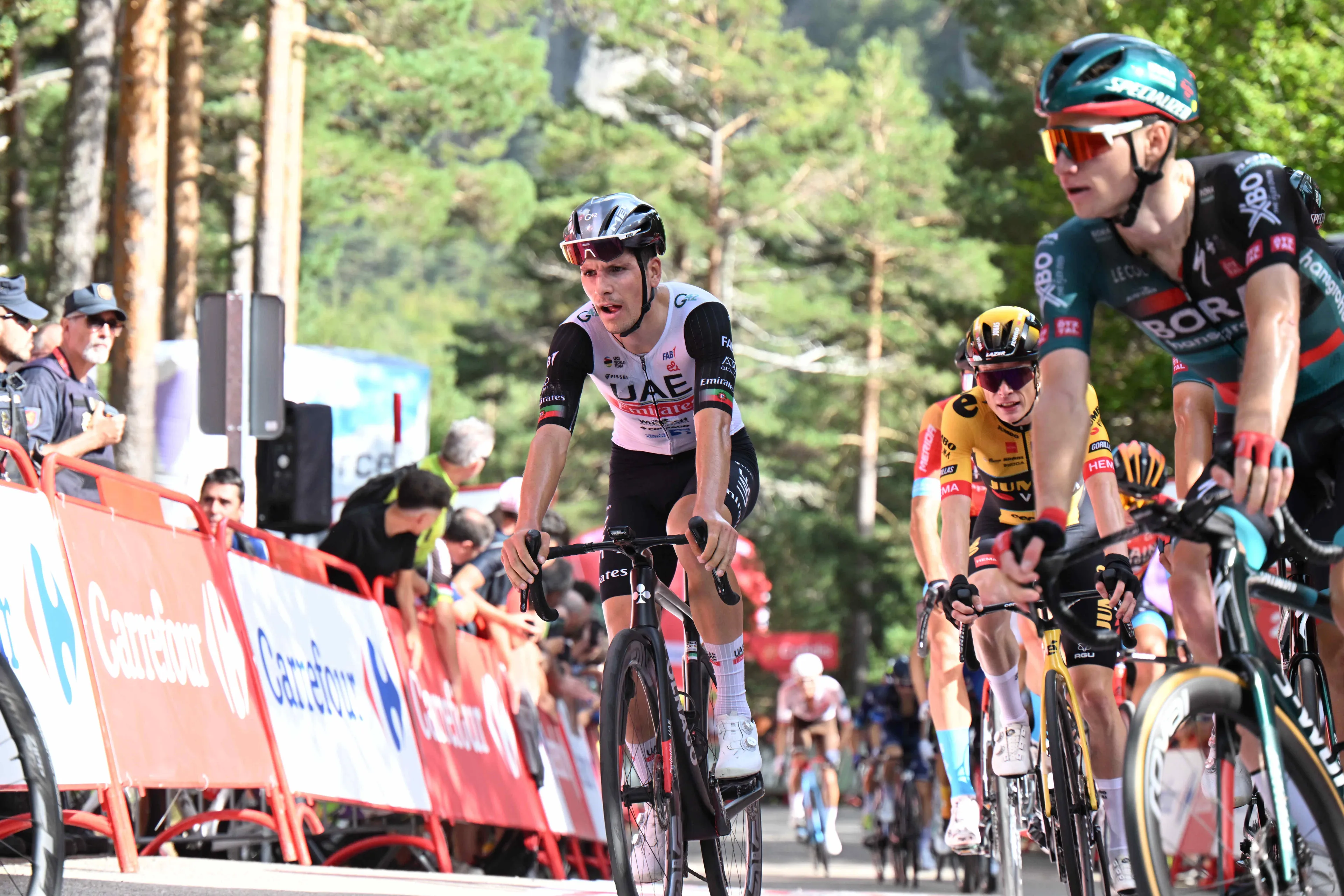 "Ik wil weer meer pit hebben en sterker worden om die machines te verslaan" - Joao Almeida wil dit jaar een grote stap zetten in zijn jacht op de Tour de France