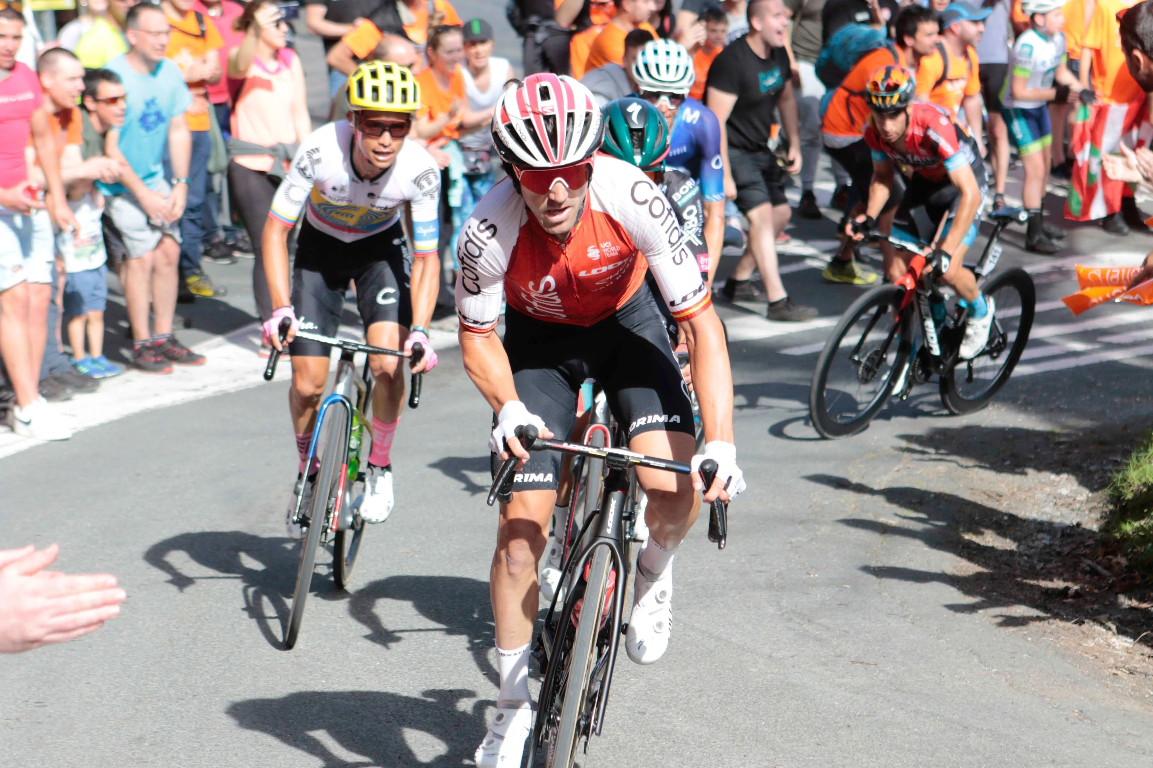 Update medisch rapport en uitvallers Ronde van Zwitserland 2024 - Etappe 8: Bryan Coquard en Jordi Meeus stappen af en gaan zich richten op de Tour de France