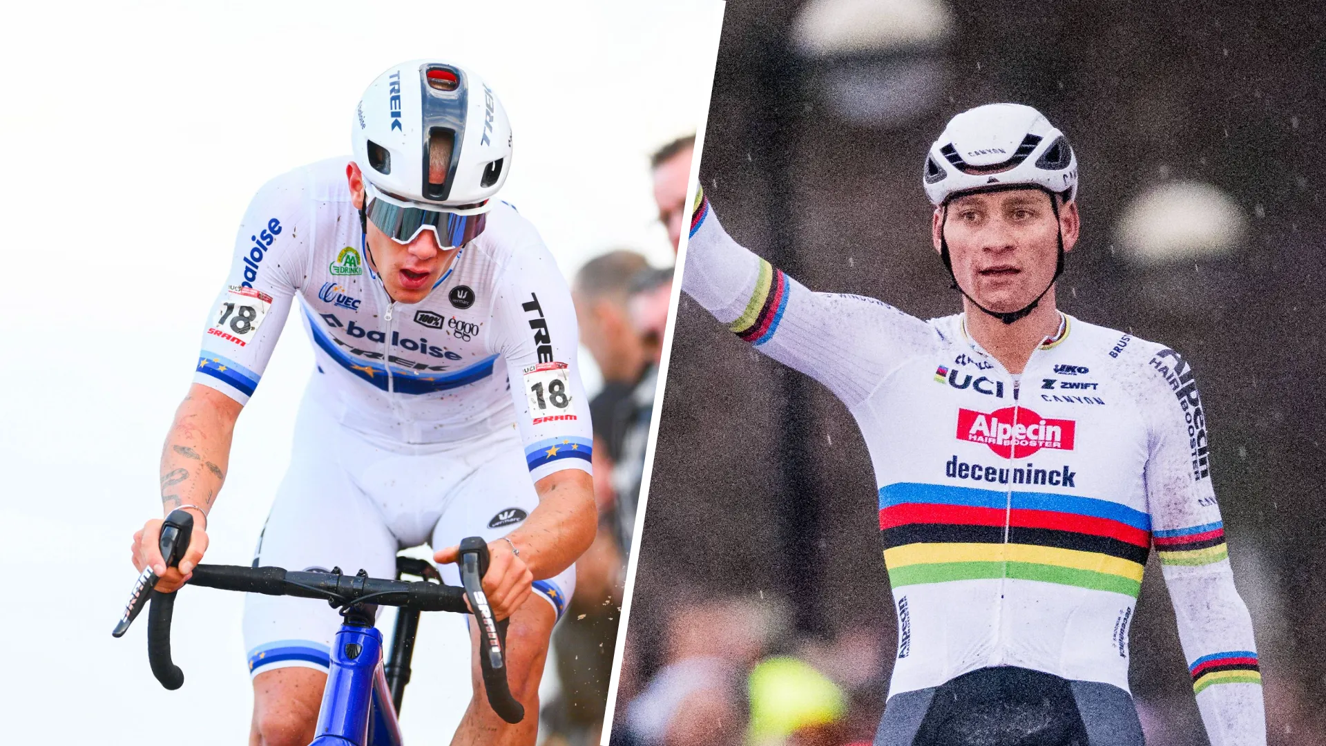 Greg van Avermaet geen fan van skiplannen Van der Poel & Nys: "Het is niet aan te raden, want het kan slecht aflopen"
