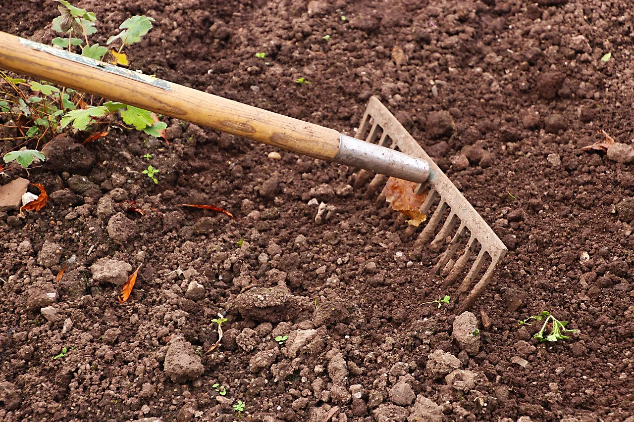 dean moriarty pixabay rake gaae4ec108 1280