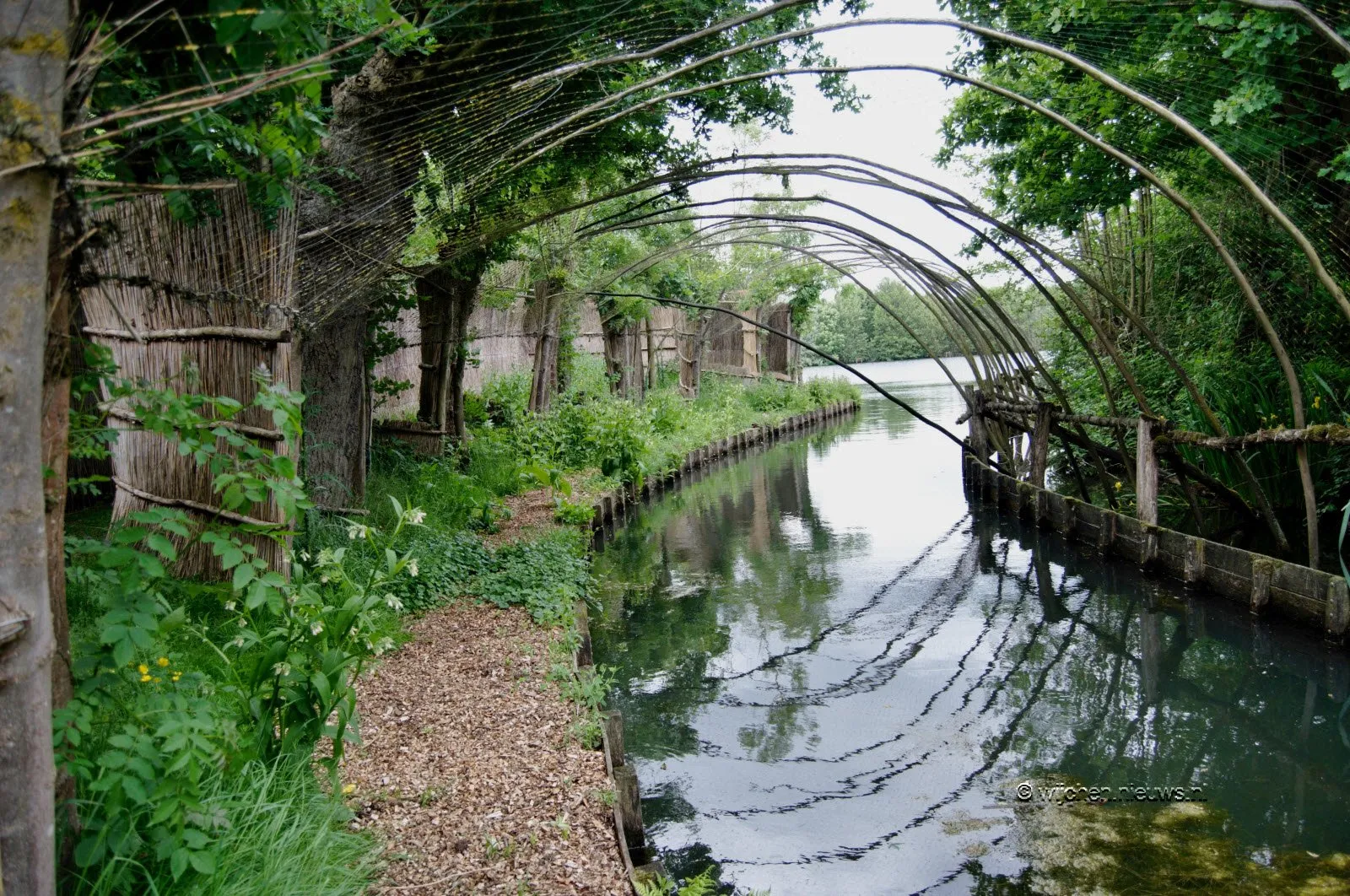 dsc 5588 2