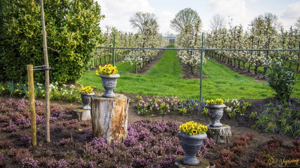 groen genieten lepona 00