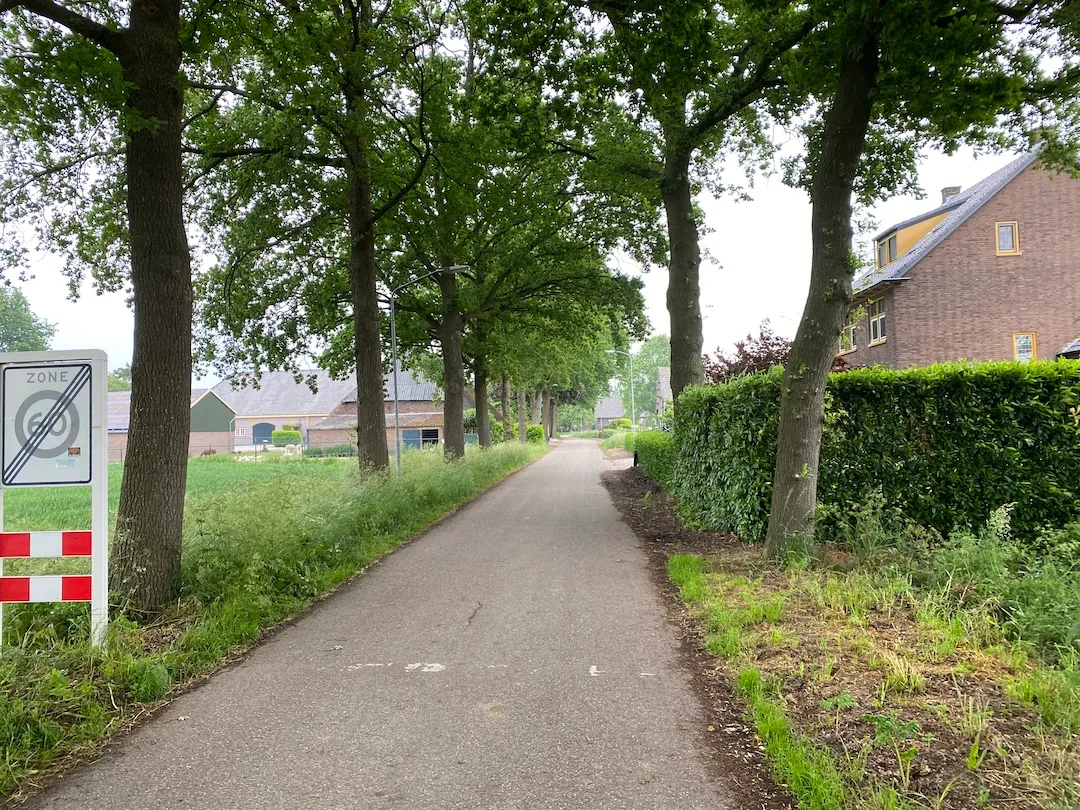 impressie lagestraat niftrik met eikenbomen