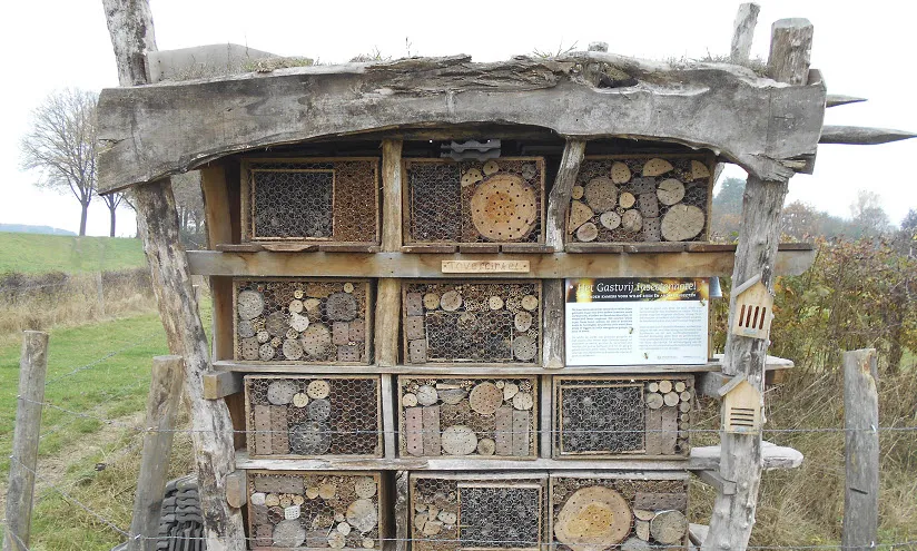 insectenhotel
