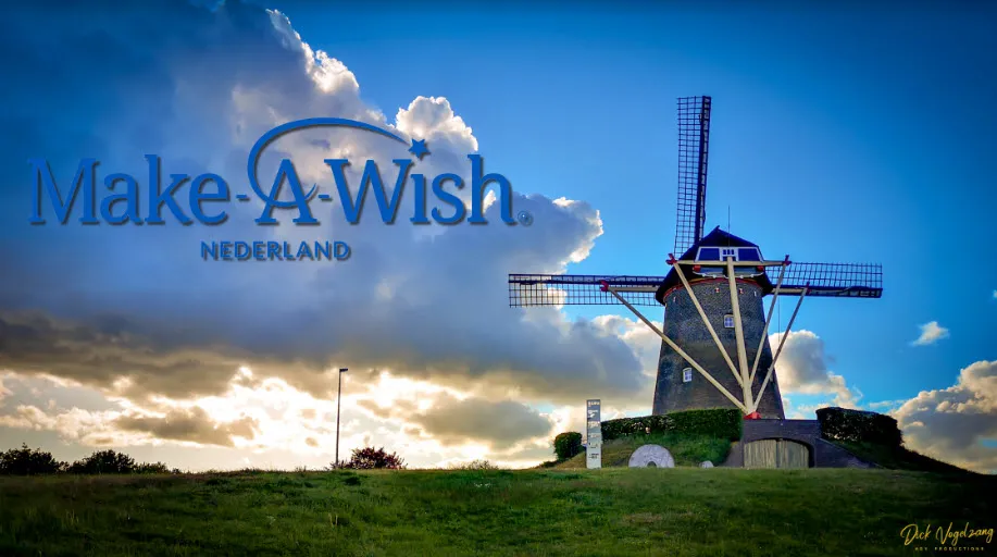 make a wisk divk v