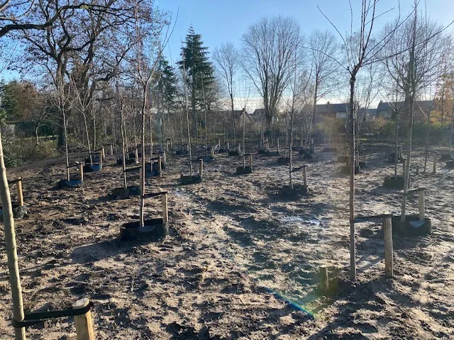 mini bos wijchen