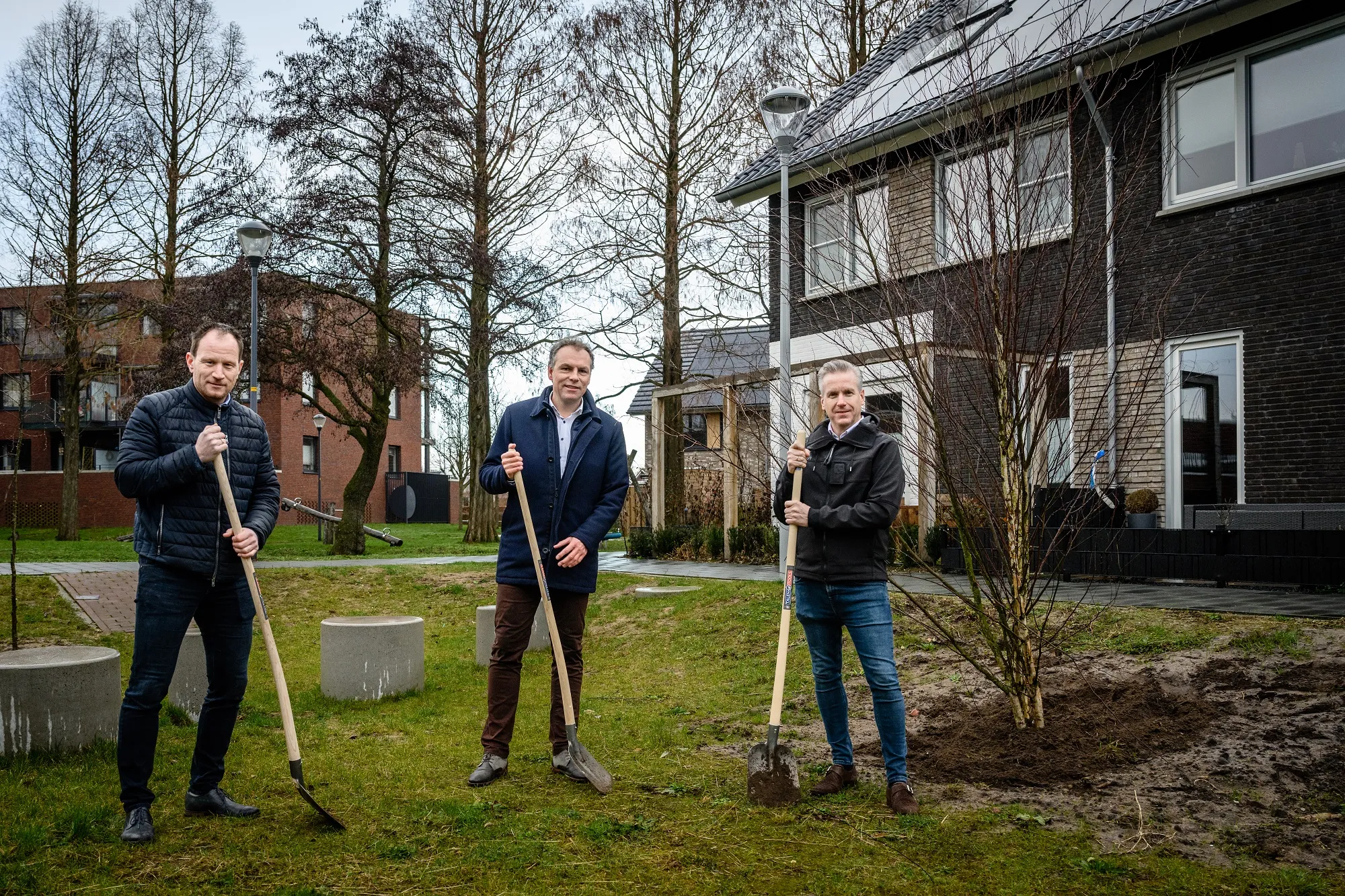 planten boom tuin van woezik