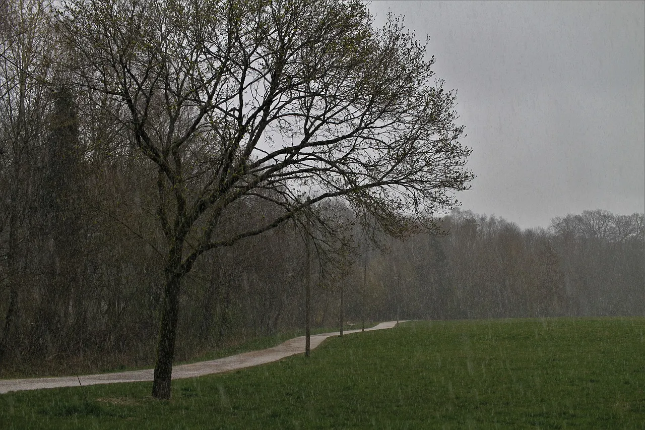 sleet gc9d2c2557 1280