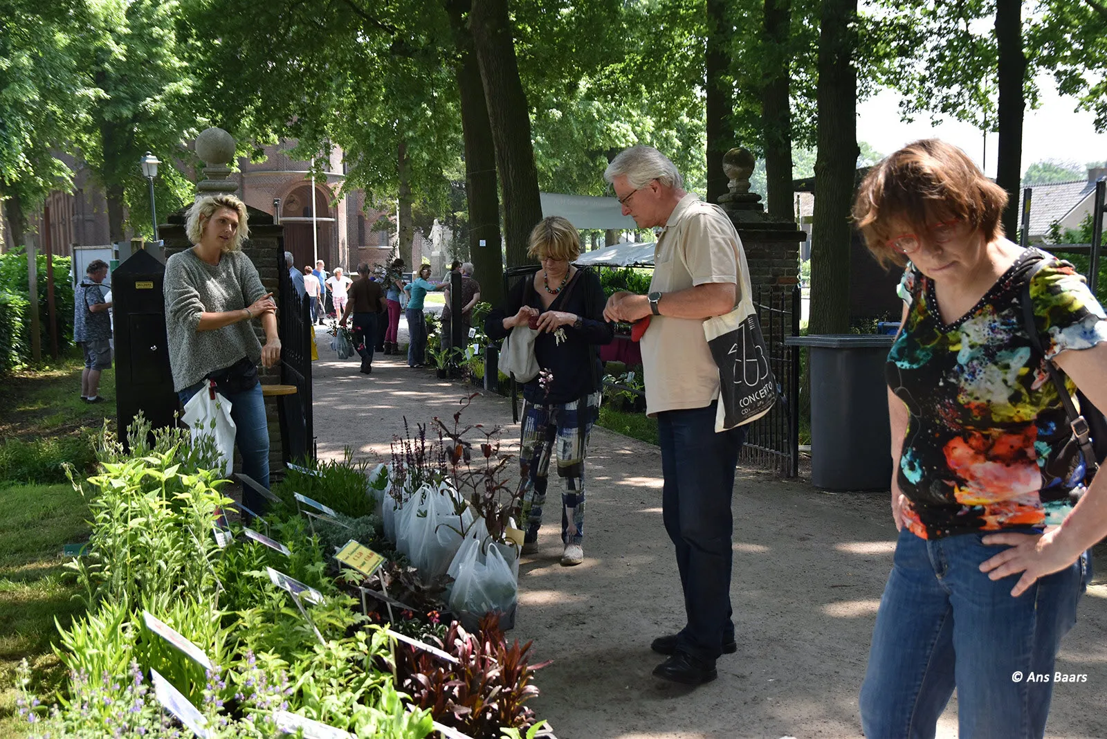 tuinmarkt hernen 2016 42