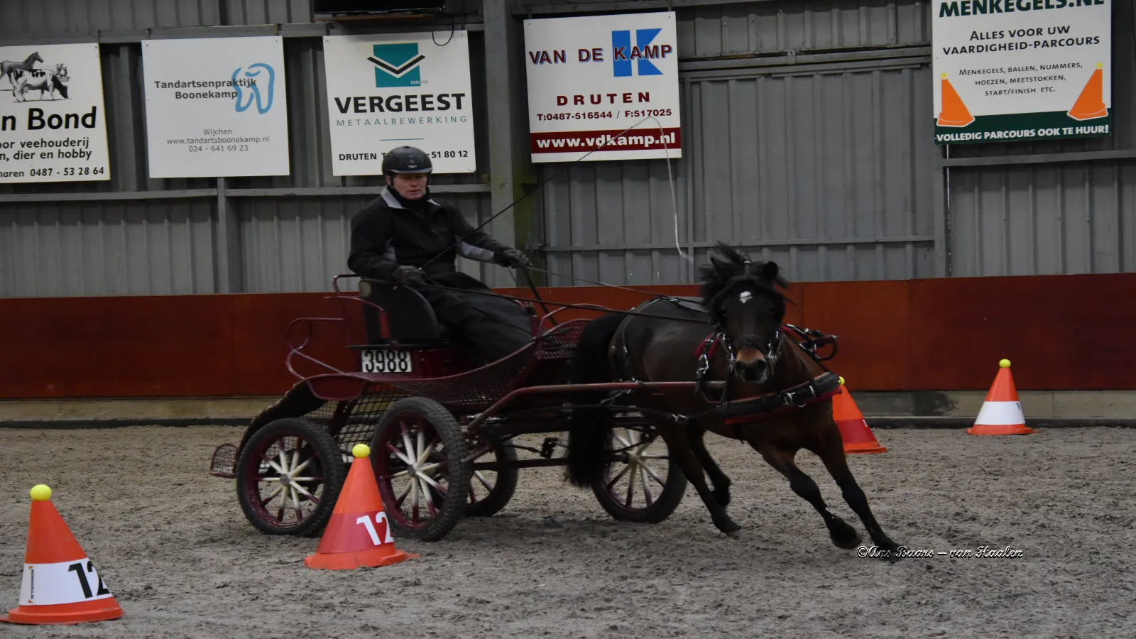vap land van maas en waal dresseur vaardigheden 0035 0035 0035