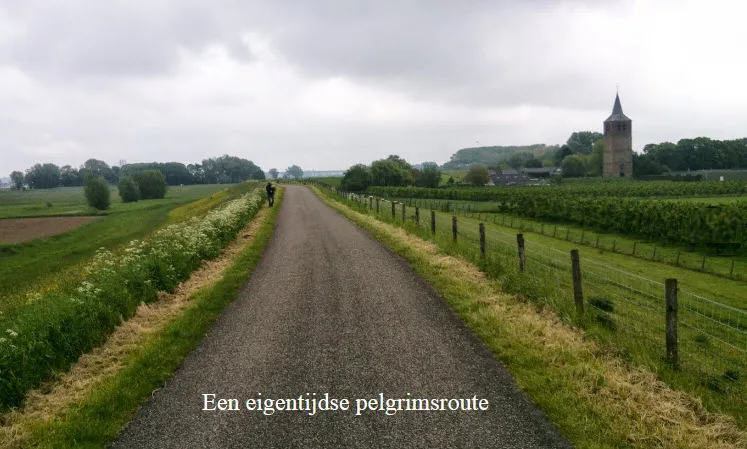 walk of wisdom