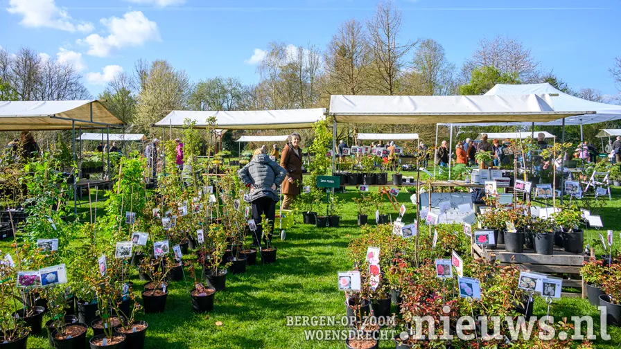 2024 plantendag voorjaar arboretum kalmthout 004