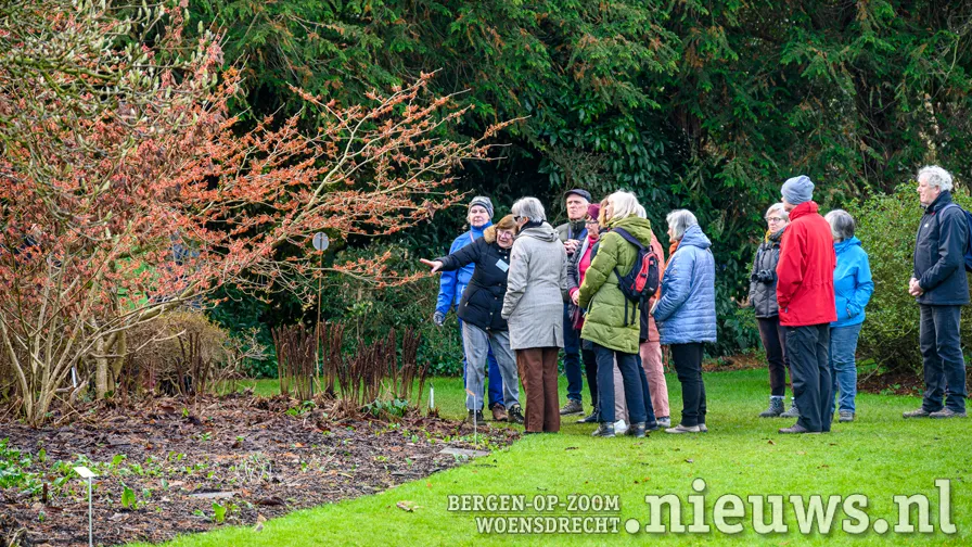 hamamelisfeesten gids arboretumkalmthout