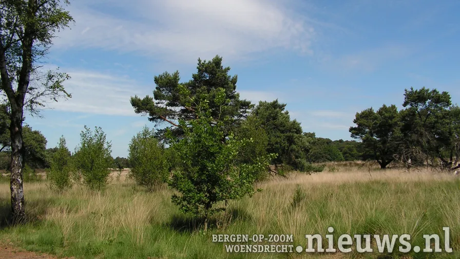 jkr 896 kalmthoutseheide 001b