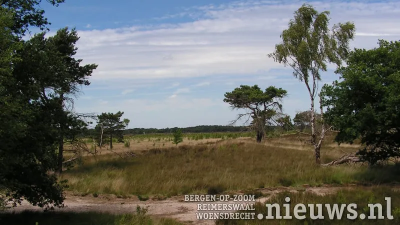jkr kalmthoutseheide