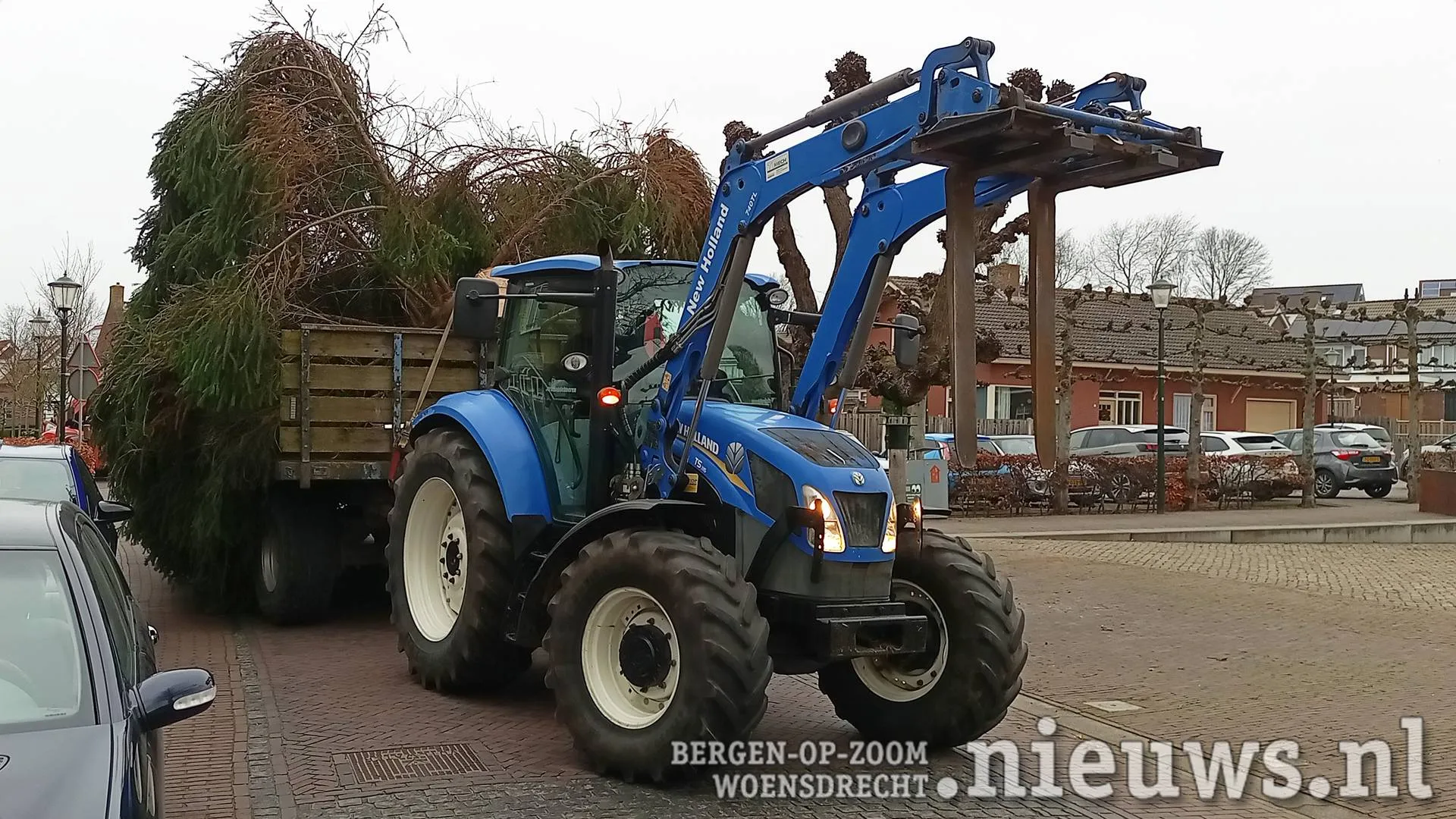 20251212_Woe_Kerstboom_001