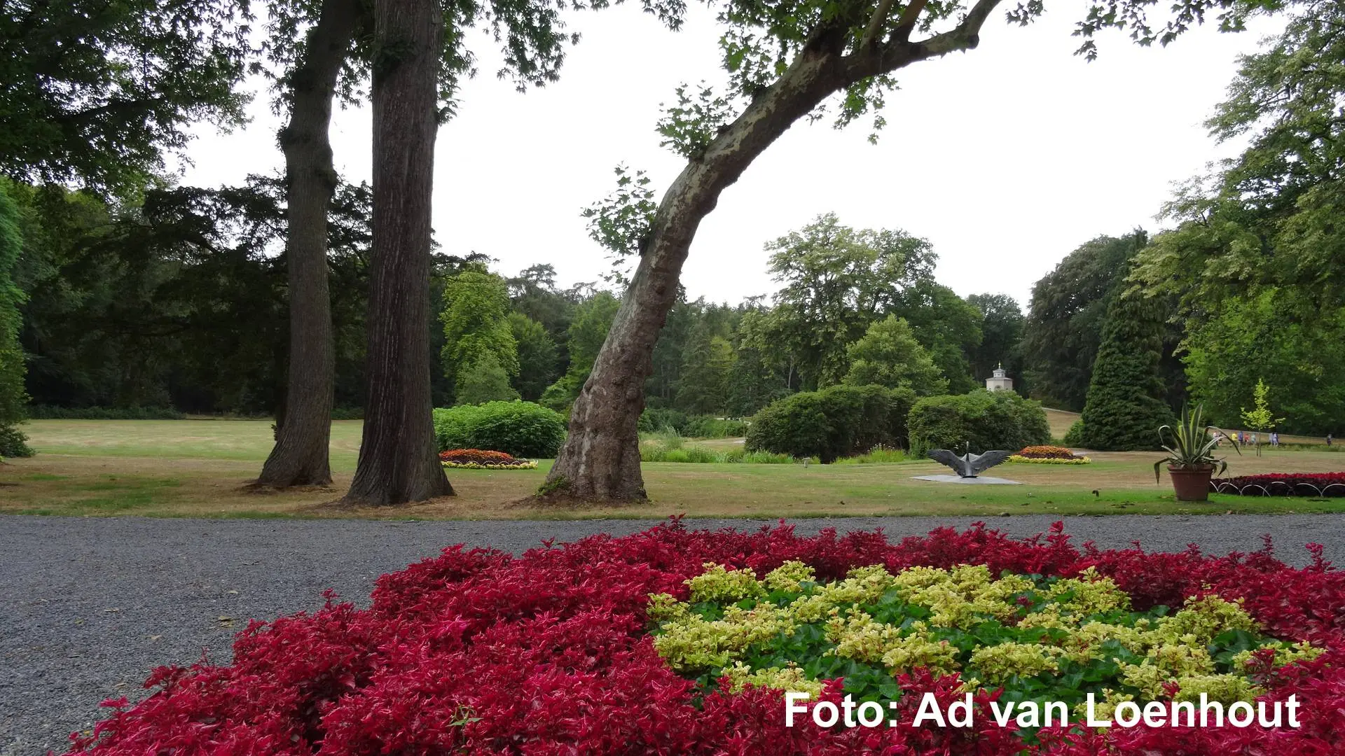 20260714_Foto Ad van Loenhout