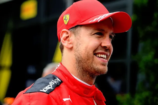 Vettel portret zijkant