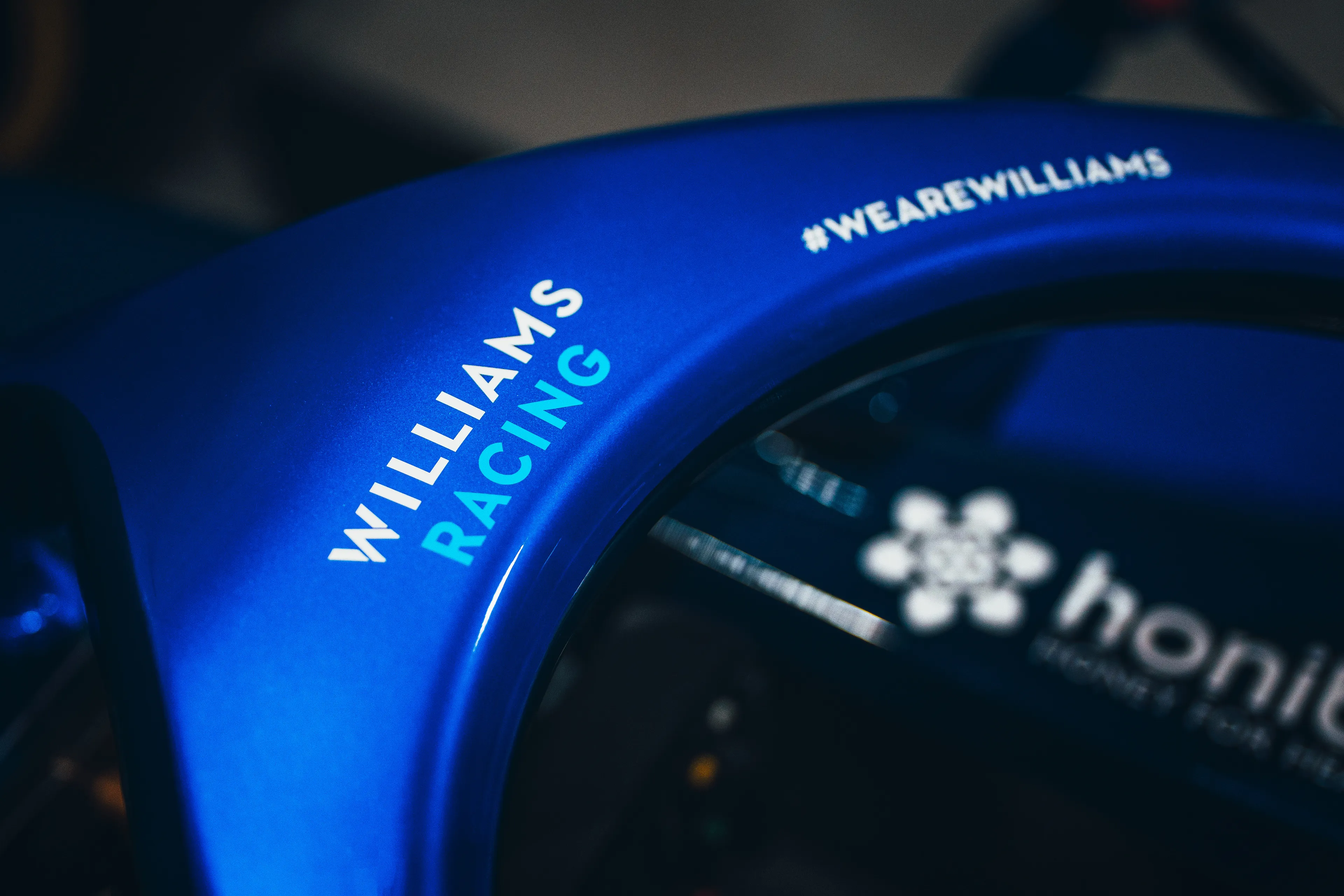 Williams fw44 halo