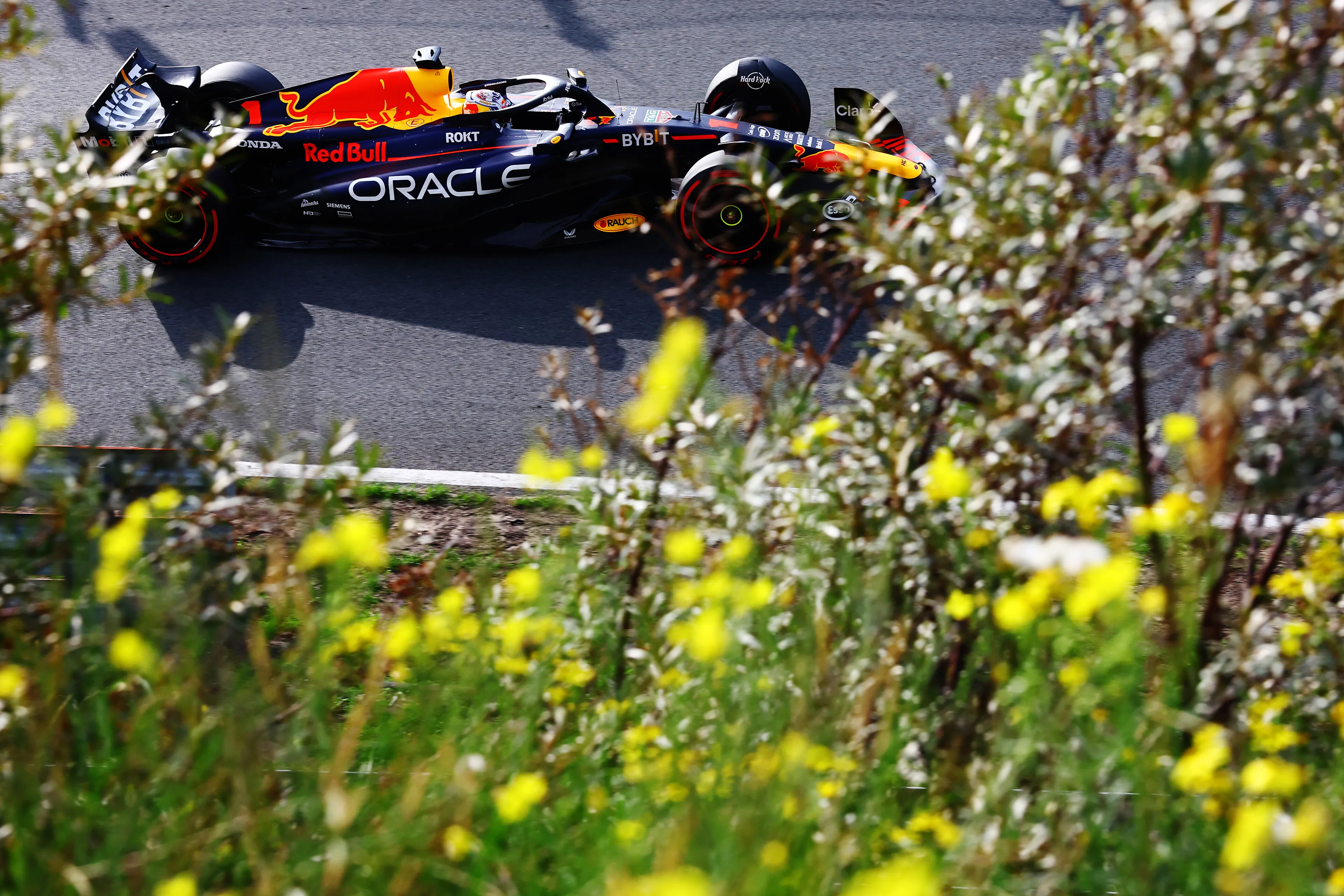 Verslag kwalificatie | Verstappen ook onaantastbaar op opdrogend Zandvoort, Albon maakt indruk