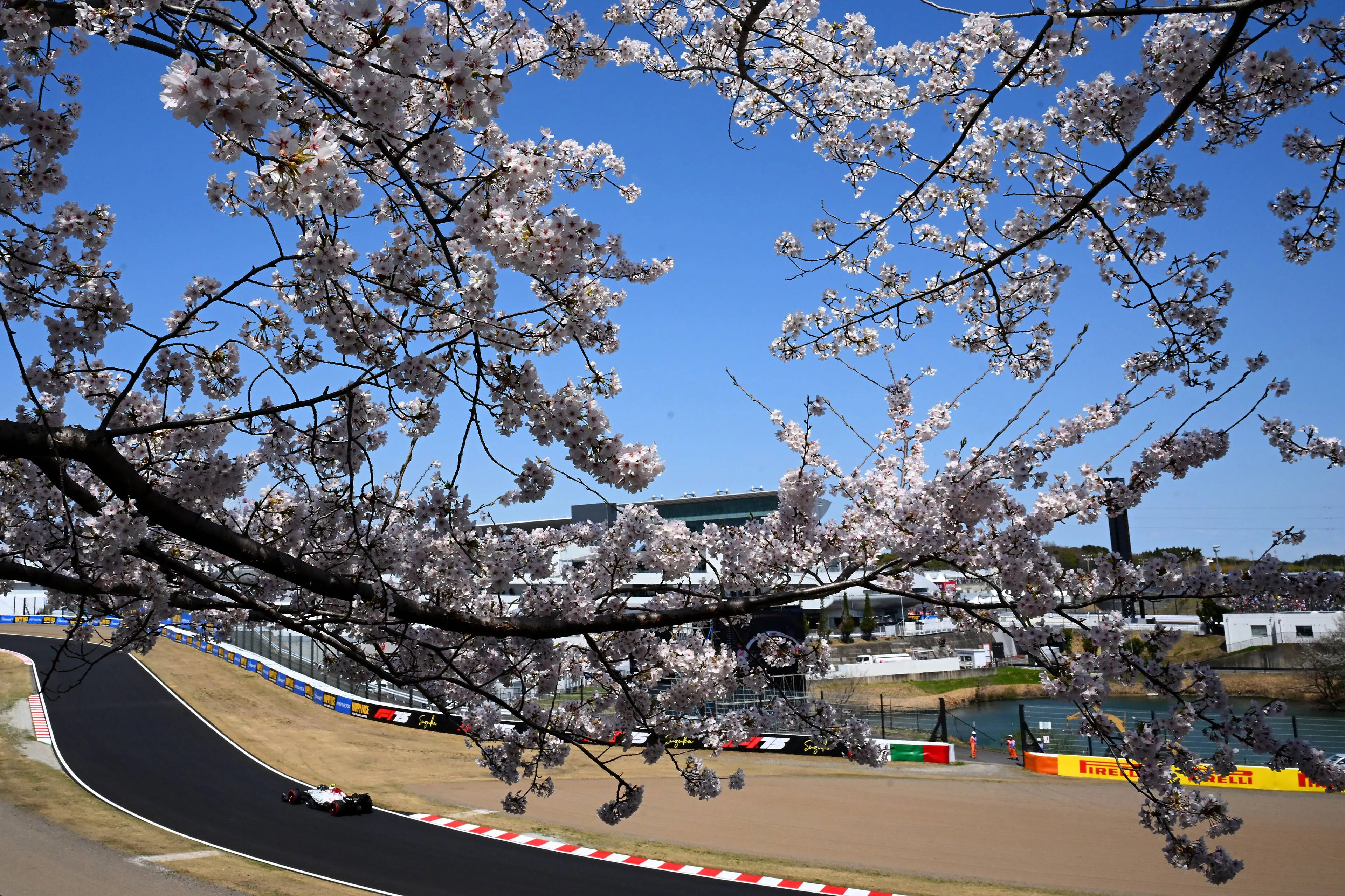 max verstappen japan 2025 ver 1 rb21 134