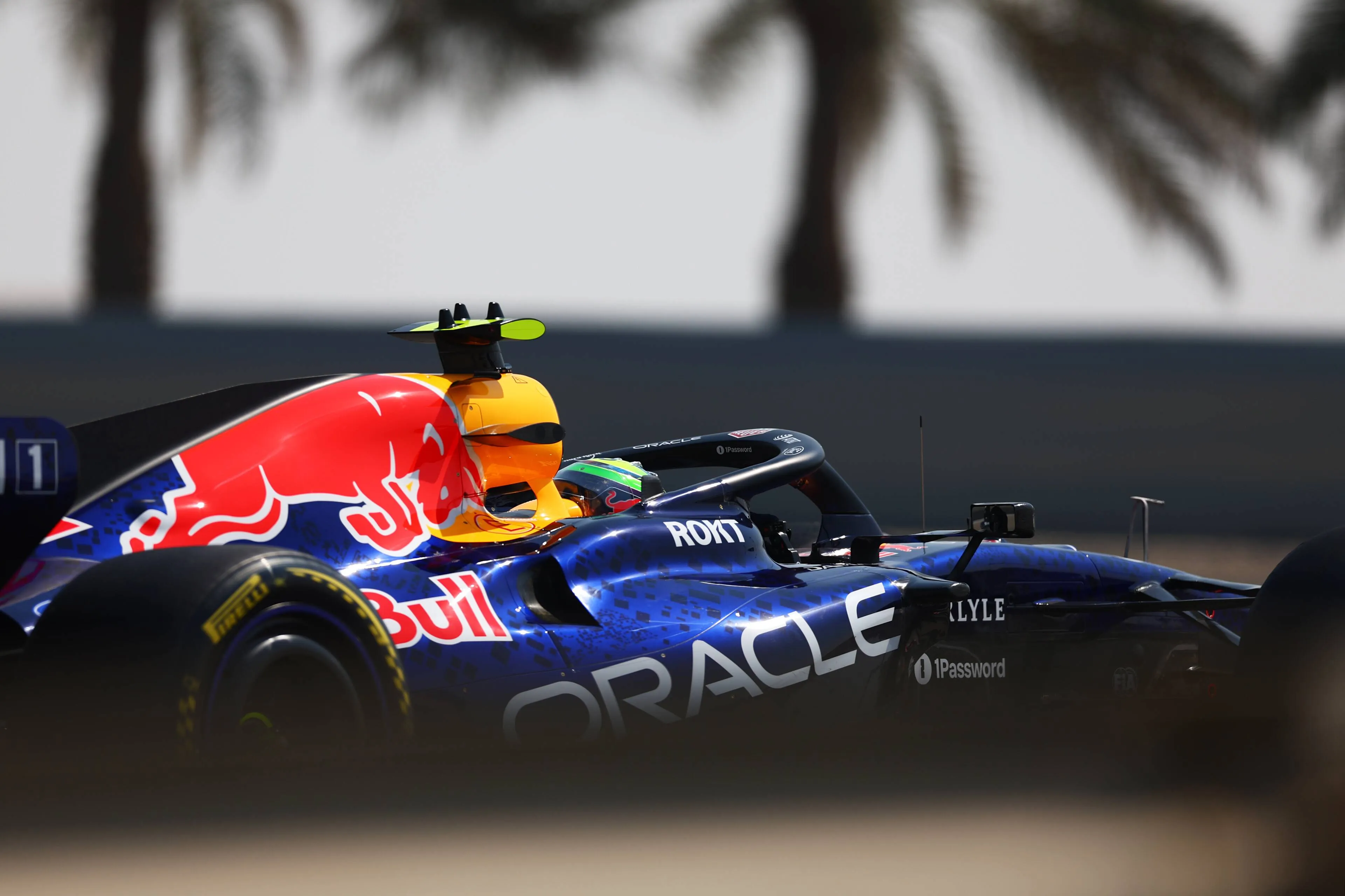 isack-hadjar-red-bull-racing-wintertest-bahrein-3-3-12-rb22-13