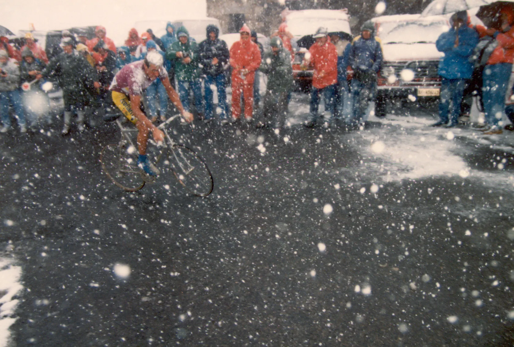Sirotti gavia 1988