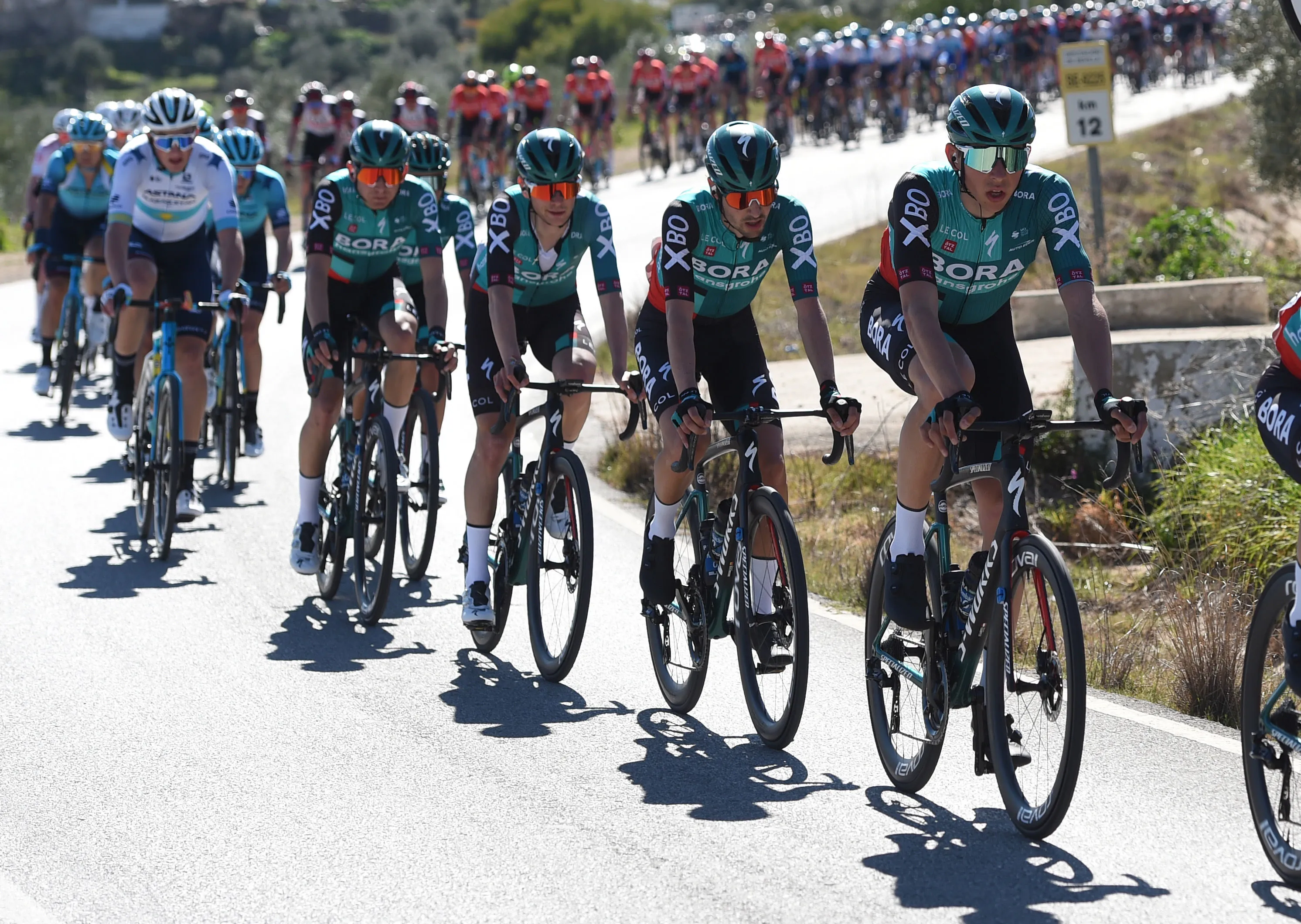 BORA-hansgrohe heeft slechts elf (!) fitte renners: 'Op het vormpeil letten we al niet meer'