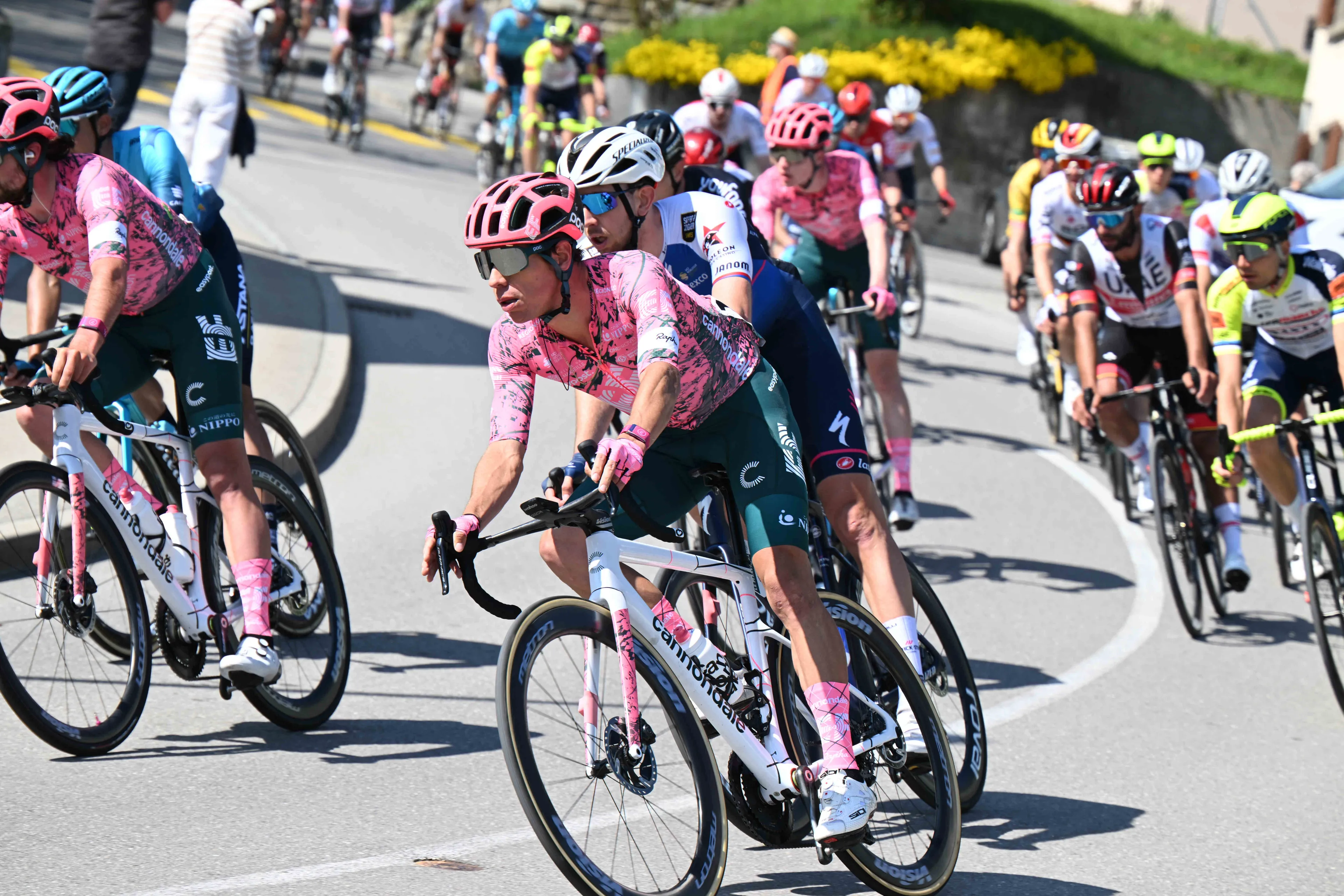 Deelnemers Ronde van Zwitserland 2022 | Iedereen bekend; EF stuurt Tourselectie