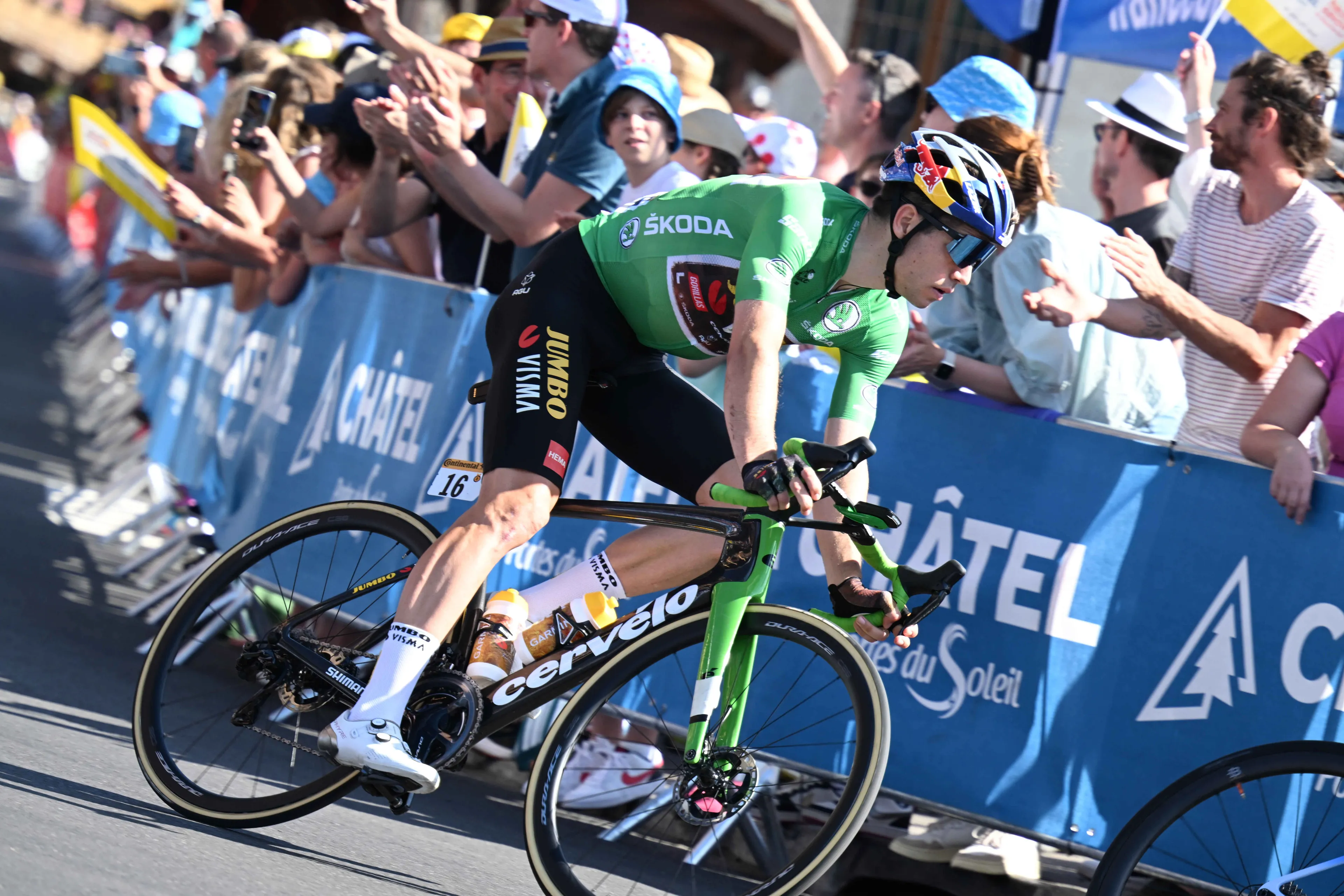 Van Aert dient Planckaert van repliek: 'Duidelijk dat ik bij Jumbo-Visma alle vrijheid krijg die ik wil'