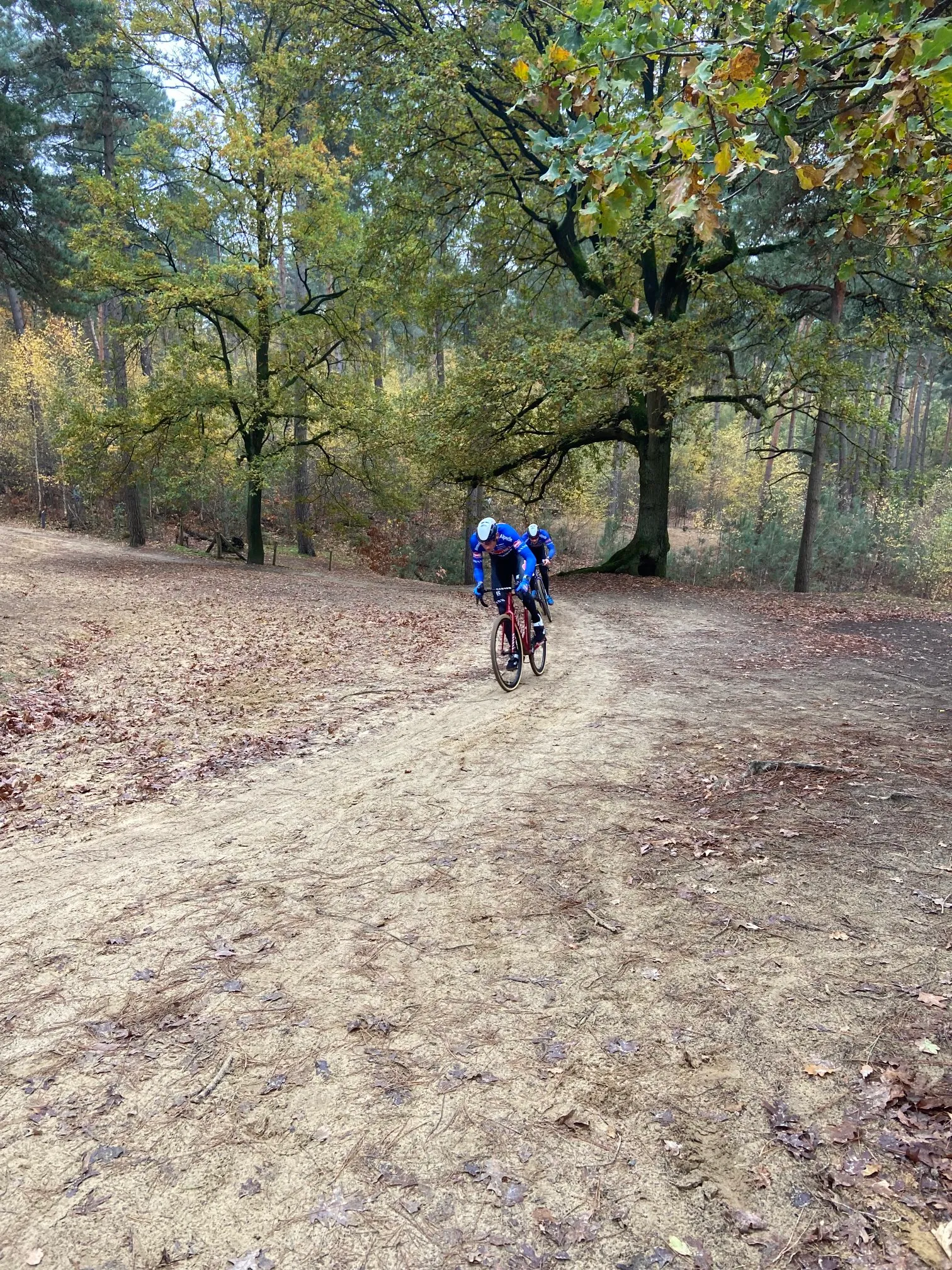 Mathieu van der Poel werkt eerste crosstraining af in de bossen van Kasterlee