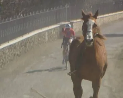 Dolle boel in Siena: Vollering rekent af met loslopend paard en ploeggenote Kopecky in Strade Bianche