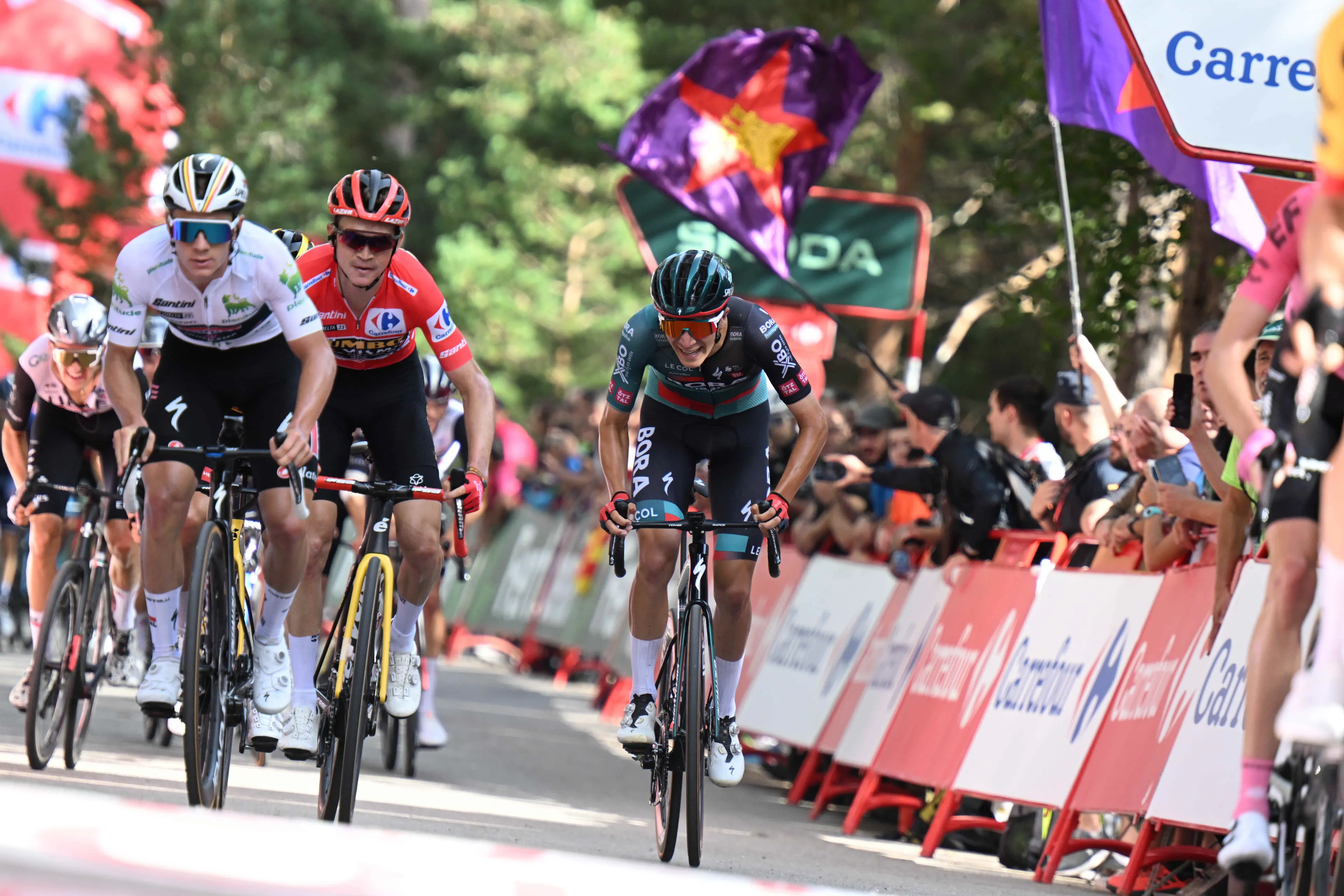 Evenepoel 'gaat niet op elke klim aanvallen' in de Vuelta: 'Het is aan Jumbo-Visma'