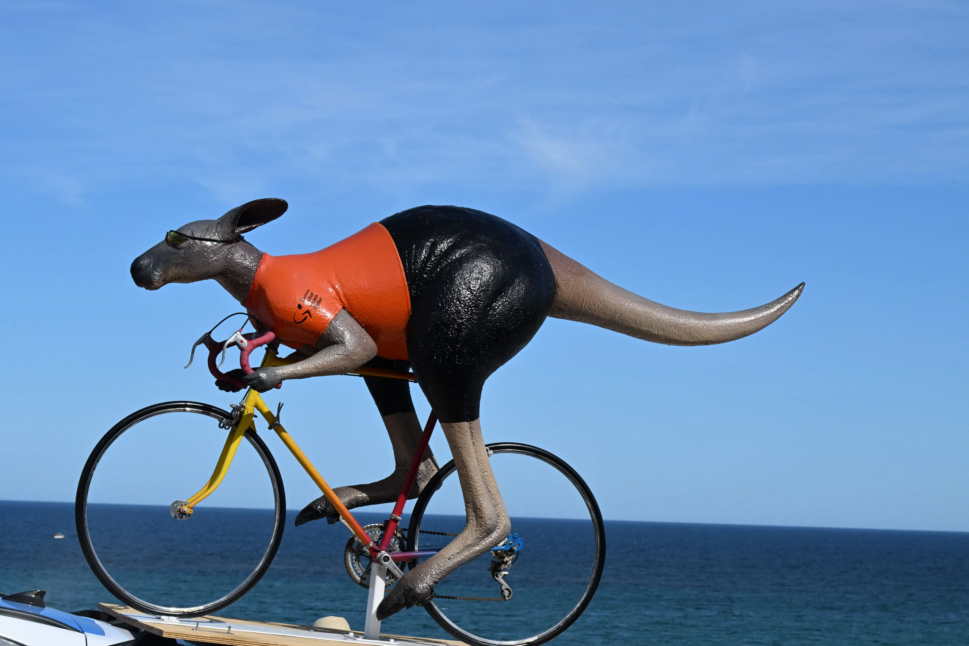 Parcours en uitslagen Santos Women's Tour Down Under 2026 | De eerste oranje trui is uitgedeeld!