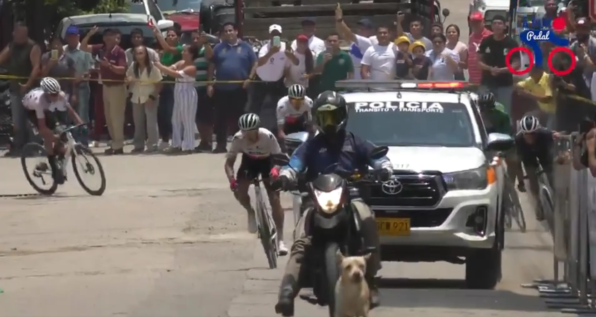 schermafbeelding 2024 03 07 194857