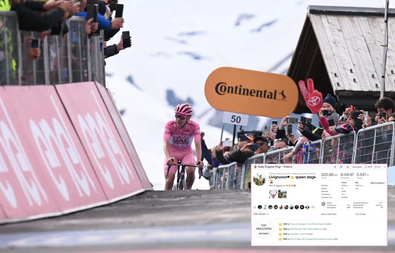 'Who the f*ck flagged me?' Strava schiet onmenselijke Pogacar te hulp, Sloveen kan er wel om lachen